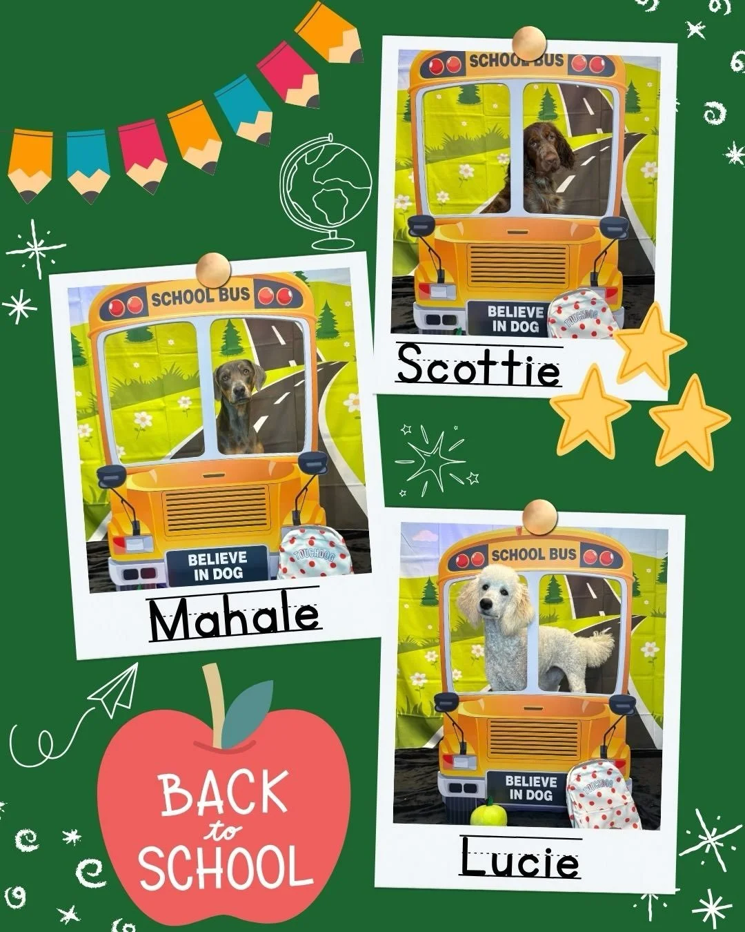 These pups are ready for a pawsitively productive school year and with straight A&rsquo;s in Good Dog 101, they are already at the top of their class! The future is bright!🍎🐶
&bull;&bull;&bull;&bull;
#backtoschool #smartcookies #gooddogs #dogtraini