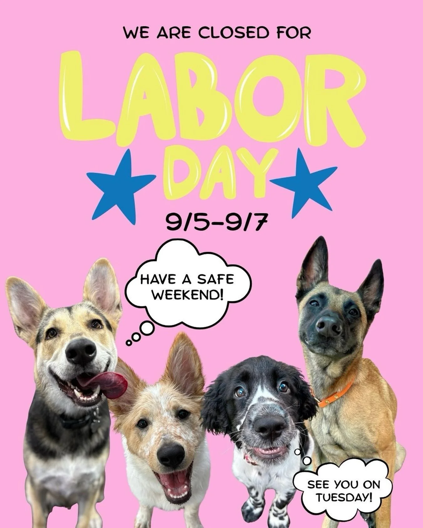 Our facility will be closed Saturday, September 5th through Monday, September 7th for Labor Day! We wish you, your family, &amp; your pups a very safe and relaxing holiday weekend! See you all on Tuesday!🐶🪷