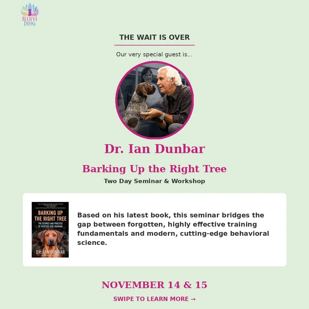 🎉 THE WAIT IS OVER 🎉

Our very special guest is... Dr. Ian Dunbar! 🐾

Based on his latest book, Barking Up the Right Tree, this 2-day seminar bridges forgotten training fundamentals with cutting-edge behavioral science.

📅 November 14 &amp; 15

D