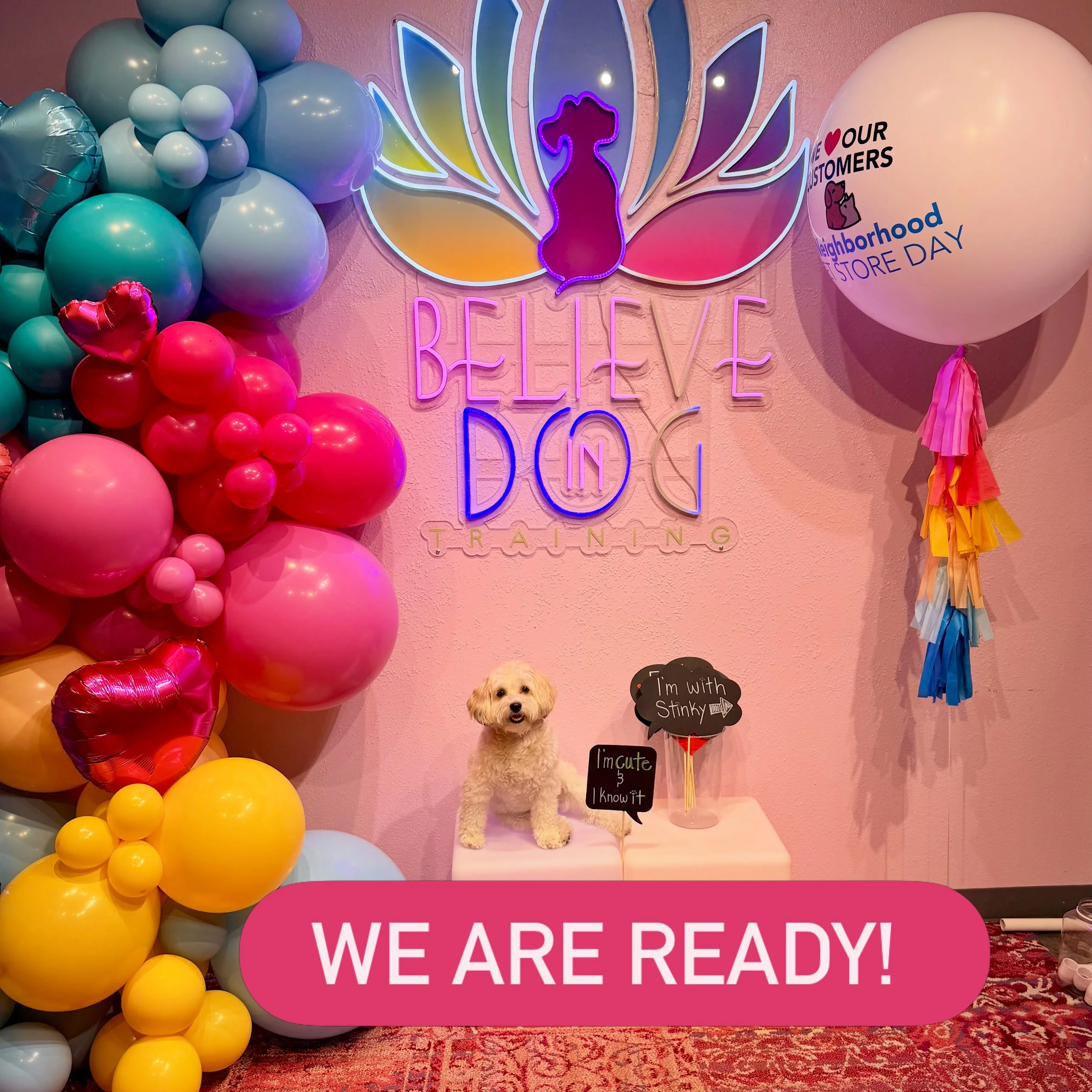 Tomorrow, September 26th! Come celebrate Enrichment Day and Neighborhood Pet Store Day! We have sales, prizes, cool photo-ops, a buffet of ingredients to stuff your toys, and our new Enchanting Enrichment Experience! 

#neighborhoodpetstoreday #belie