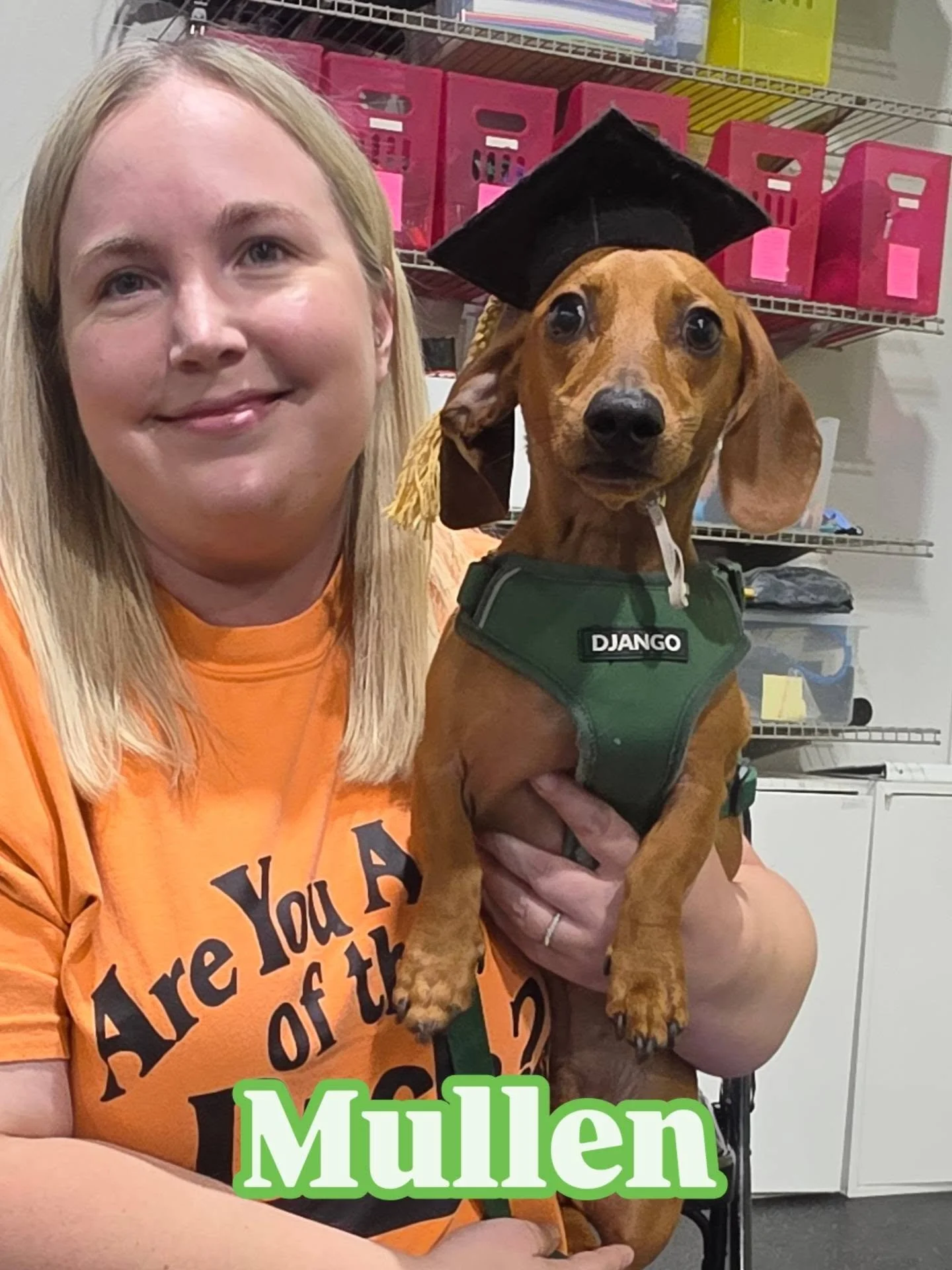 Put your paws together for our most recent Basic Manners Graduates! 🎓

These dogs and their amazing pawrents just completed our 6-week Basic Manners course. We cover: sit, down, come, stay, touch, loose leash walking, spin, leave it and more! 

More