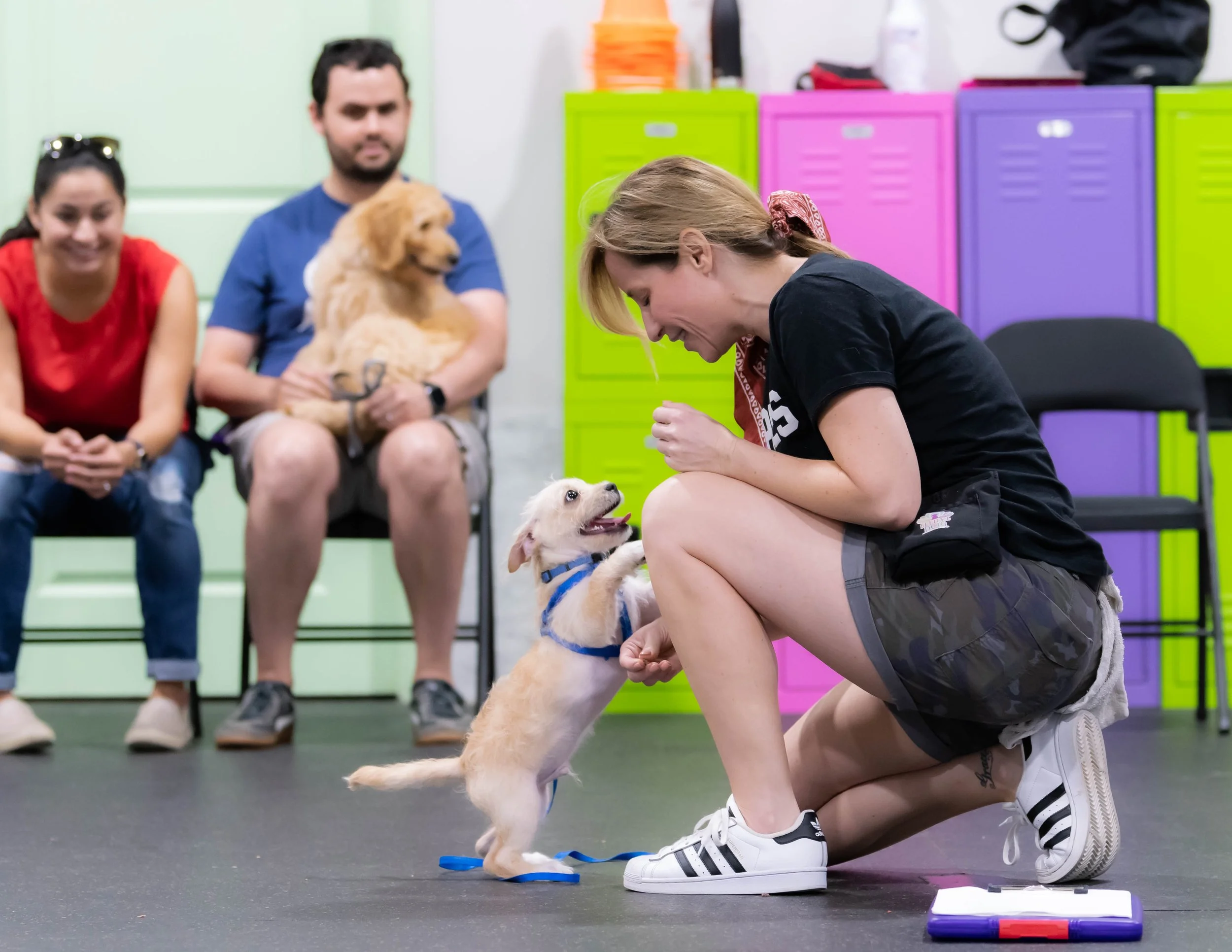Puppy Class Part One — Believe in DOG Training by Stephanie Houston Puppy Training