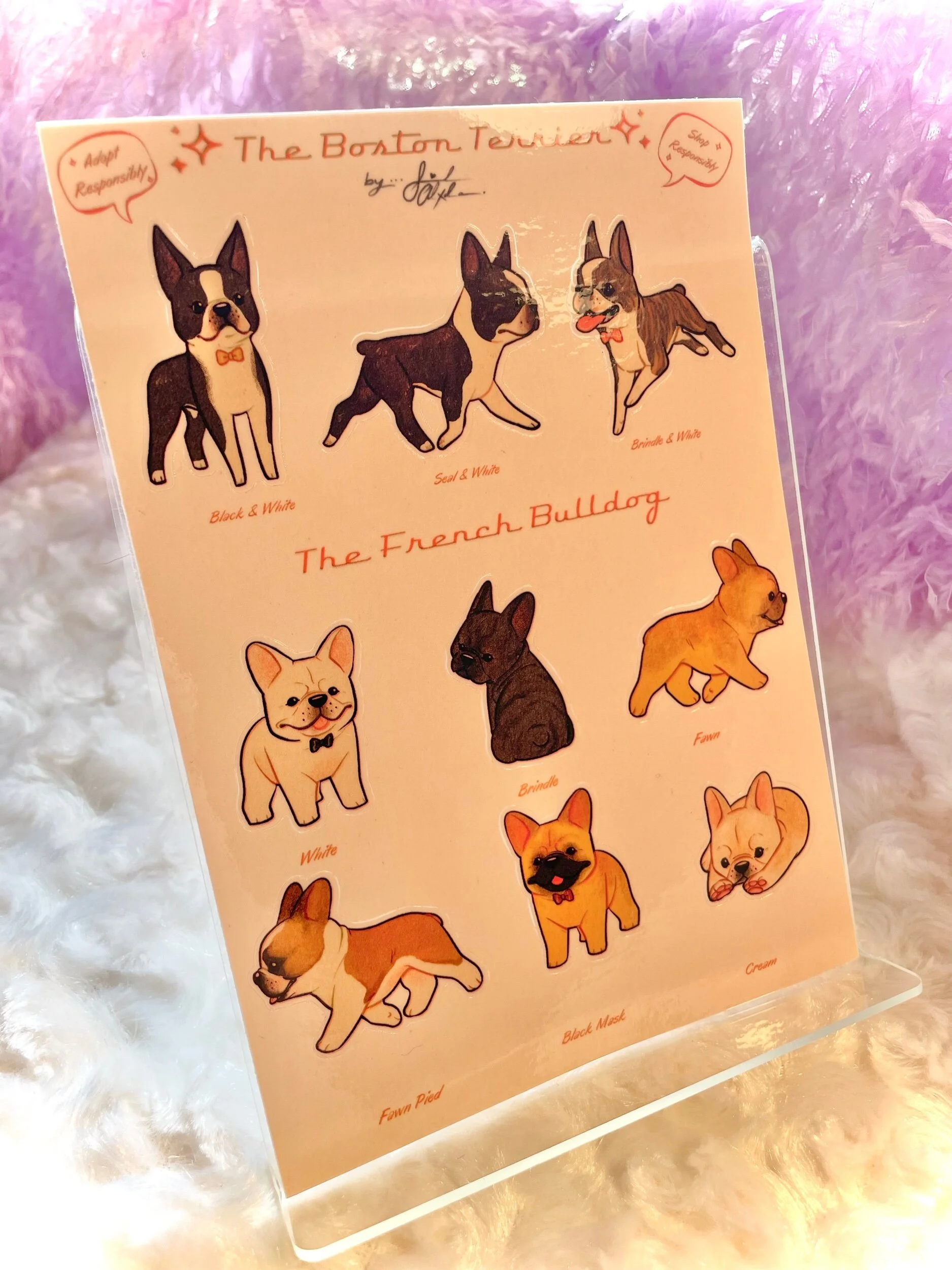 5614F8AE-3A71-4707-B6BE-D24D3F2DF4E0