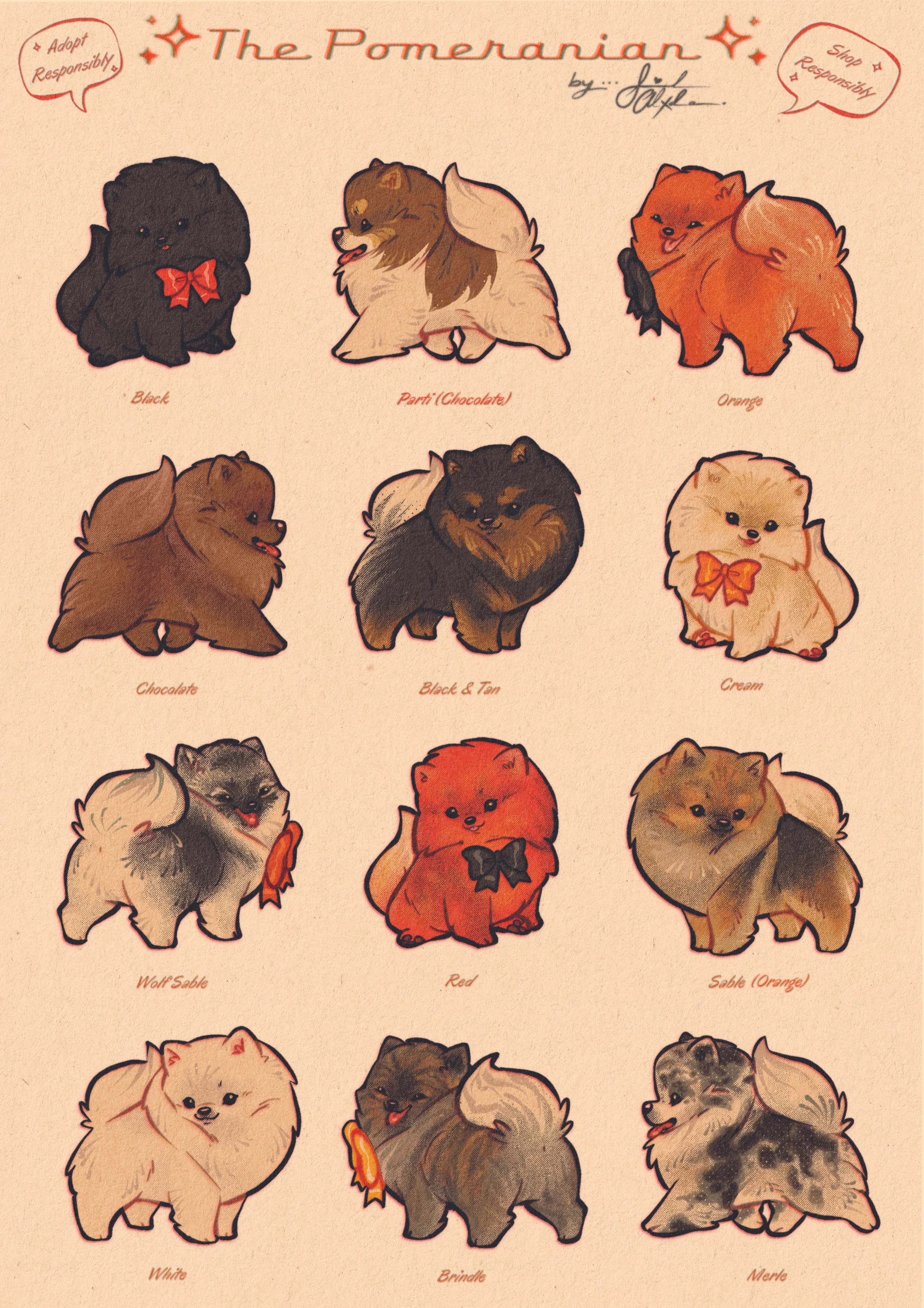 Dog color chart sticker sheets