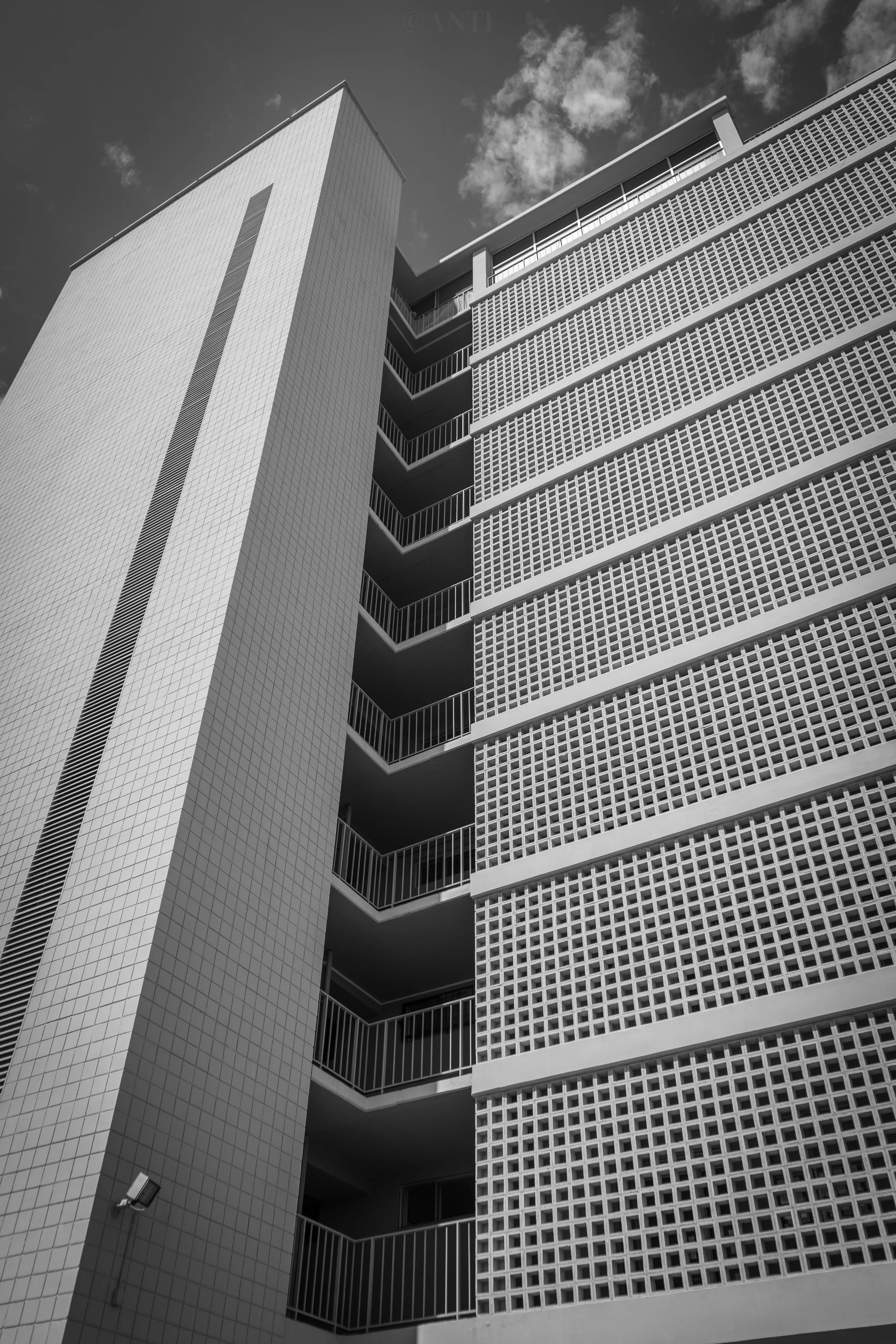 DSC00419-2.jpeg