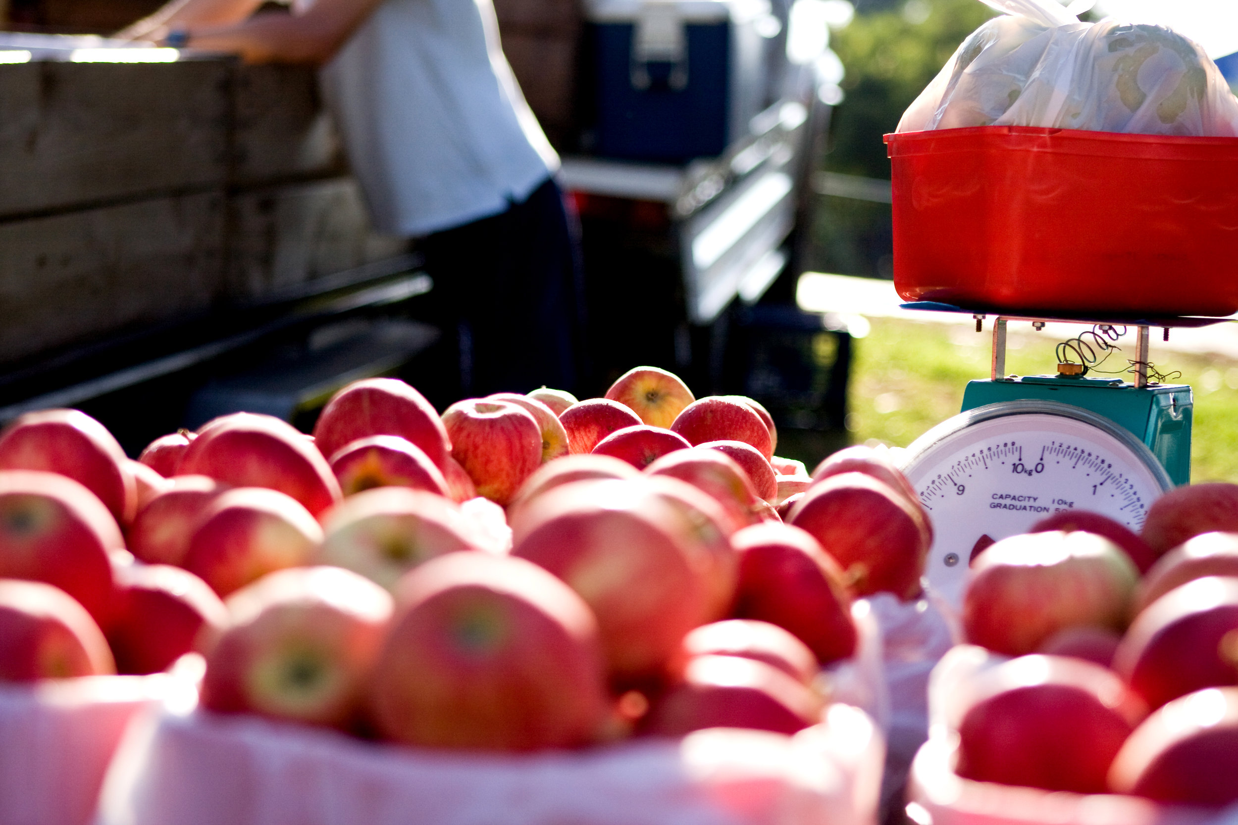 Faremers_Market_apples (1).jpg