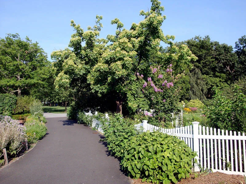 Queens_Botanical_Garden-NYC-Untapped-Cities.jpg