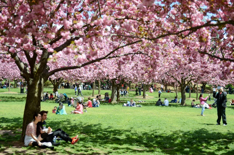 The Brooklyn Botanic Garden offers free admission on Tuesday and for two hours on Saturday, photo via NYC Parks