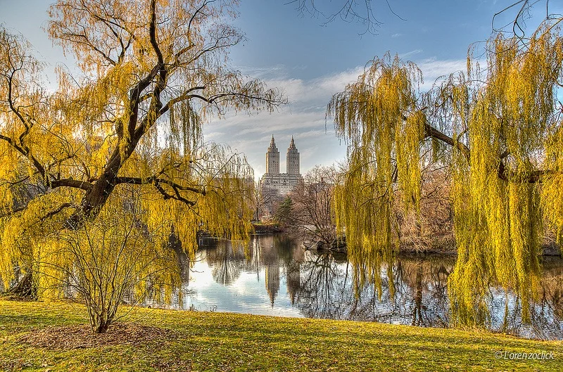 Central-Park.jpg