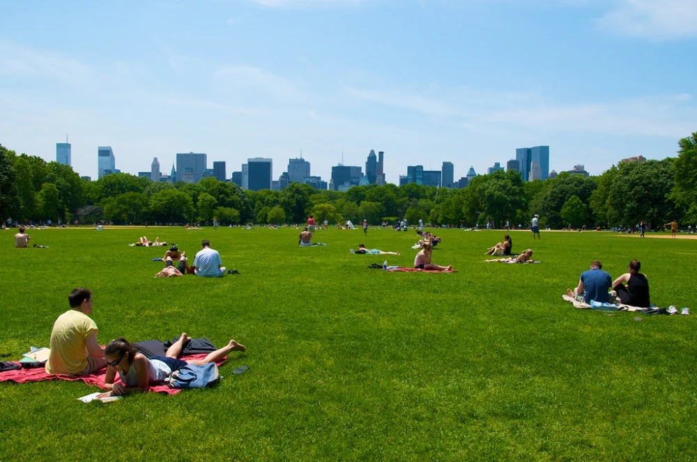 GreatLawn.jpg