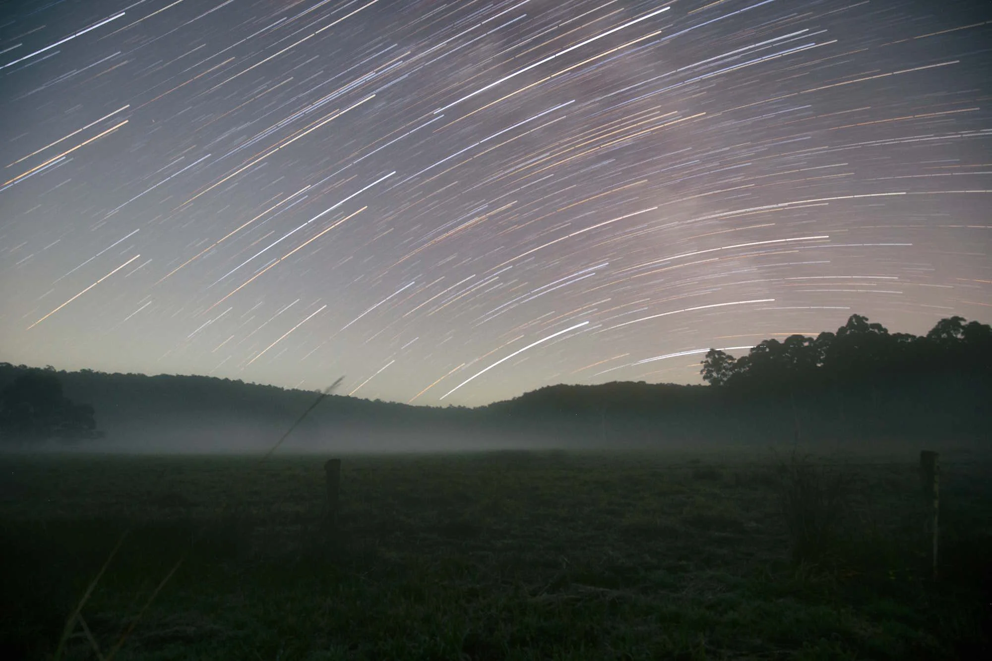 Star Trails.jpg