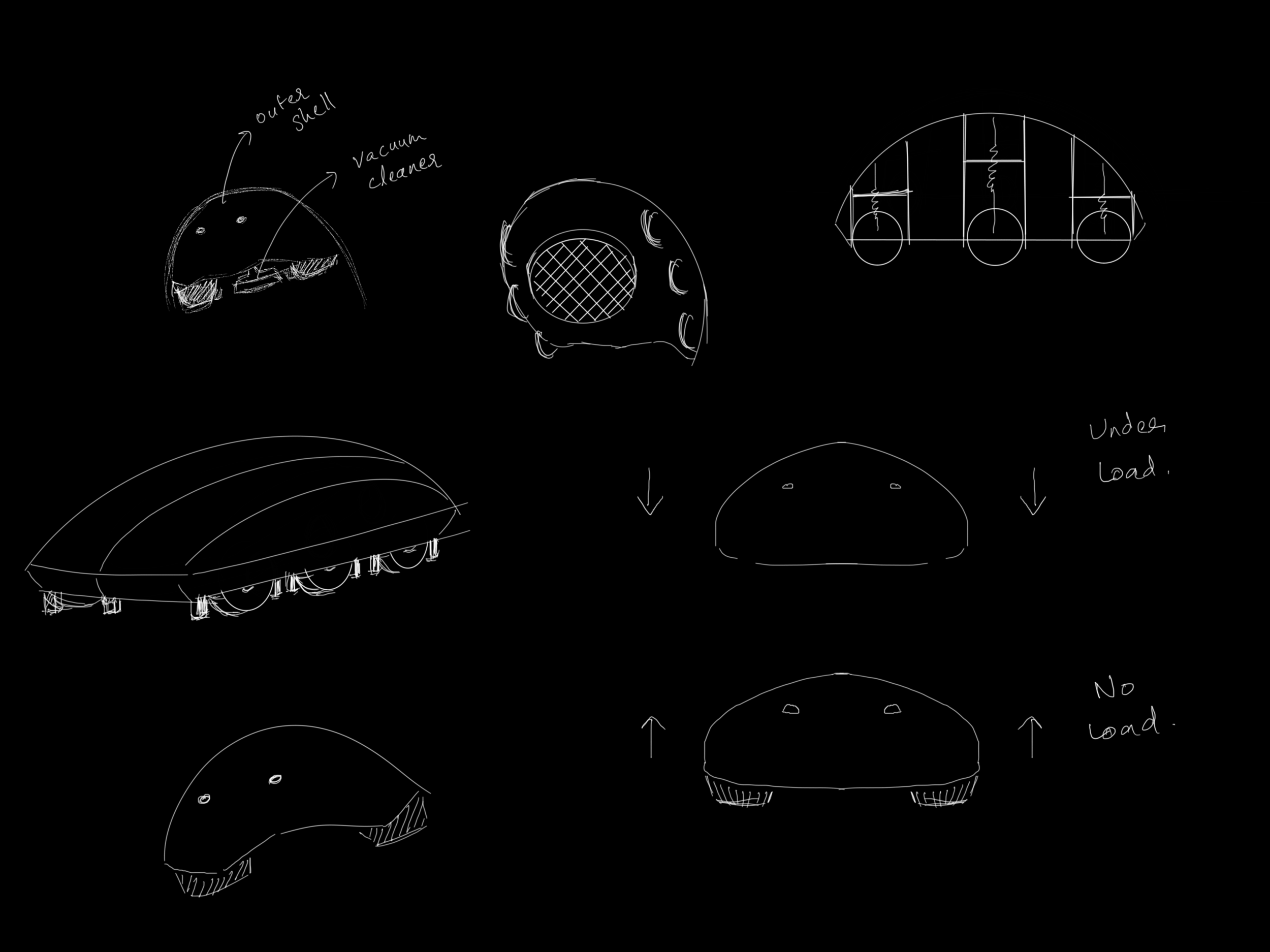 Image from iOS (1).png