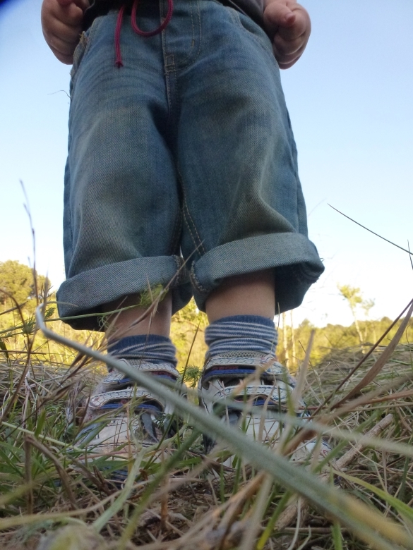 0000P1110499.jpg
