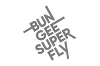 bungee superfly.jpg
