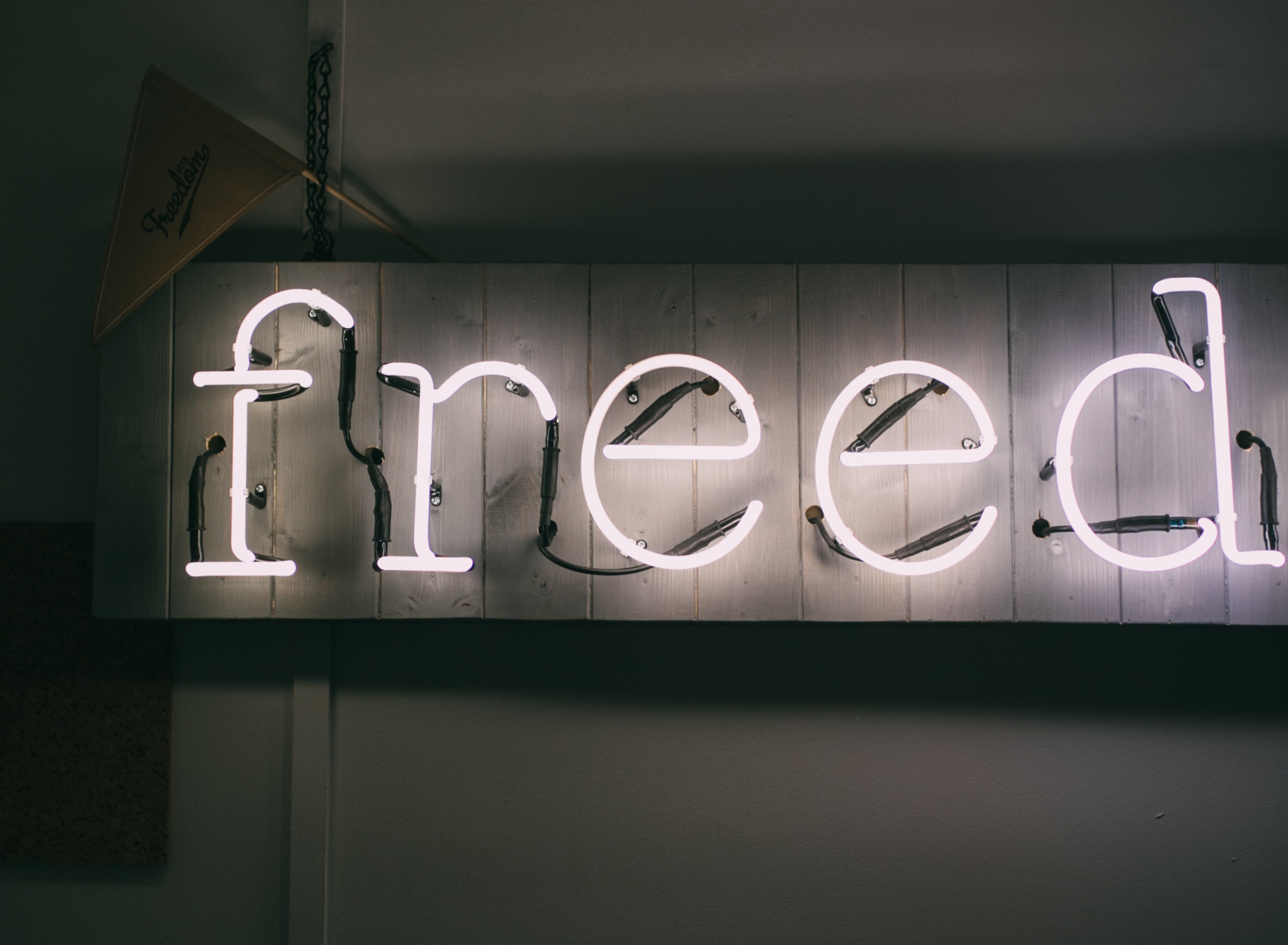 FreedomActs Promo 2017-1.jpg