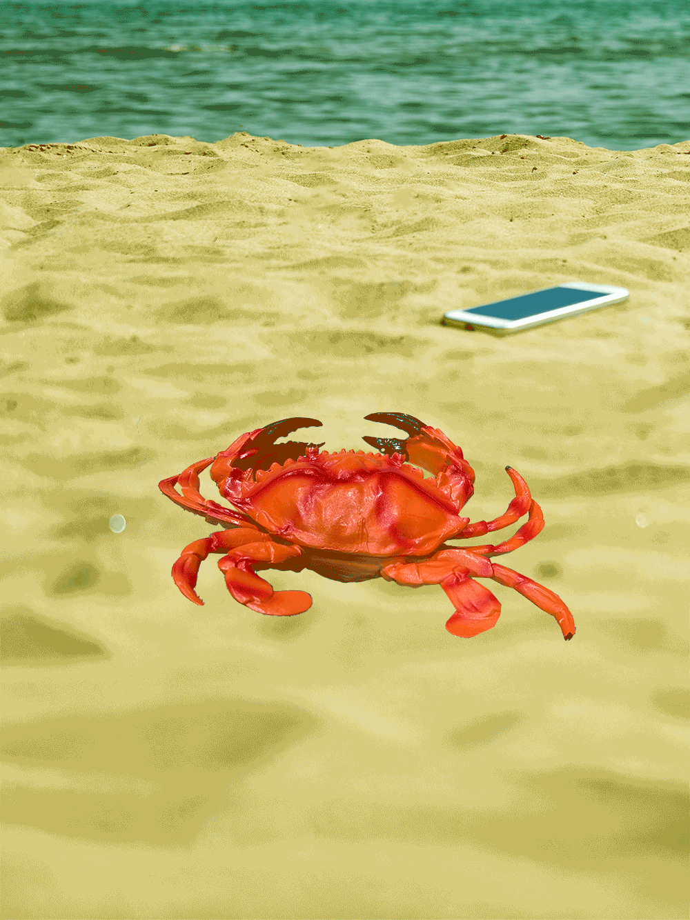 CRAB-BEACH-ANIM-2.gif