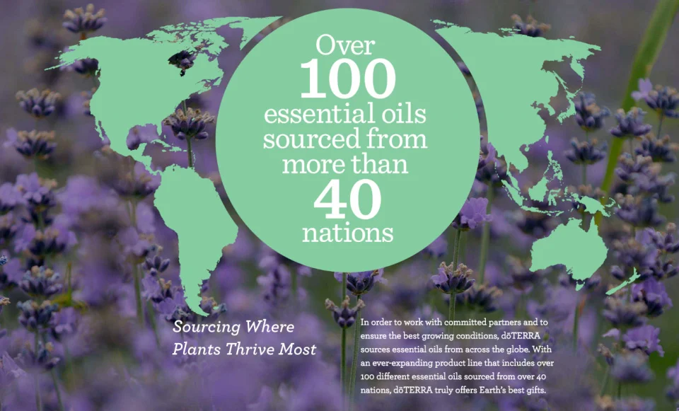 doterra-coimpactsourcing.jpg