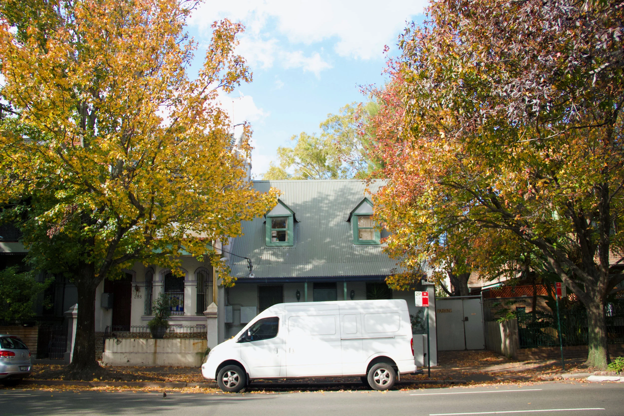 Redfern_Autum.jpg