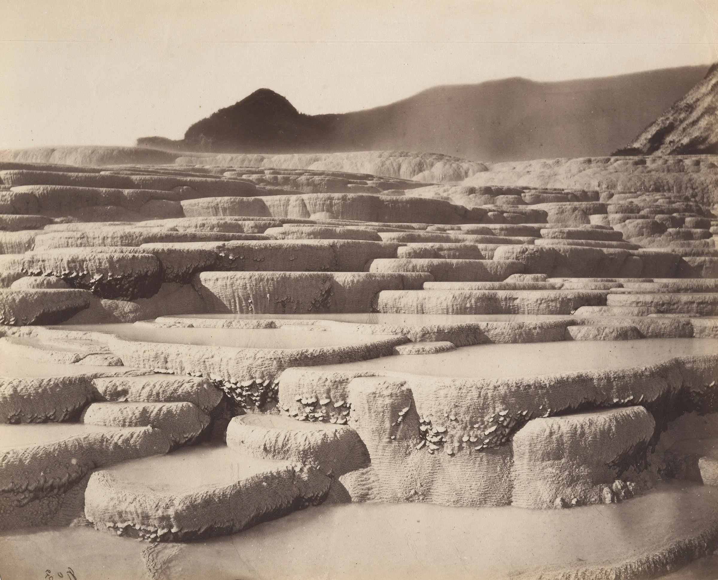 MA_I068216_TePapa_Pink-and-White-Terraces_full.jpg