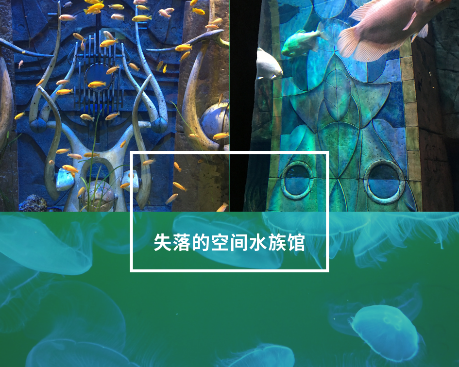 南 上失落的空间水族馆01.png