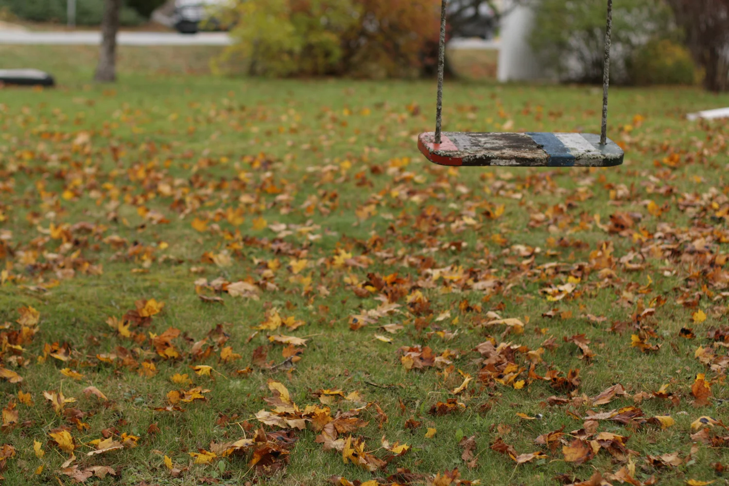 B16_Nov05_Fall_Photo_Walk_05.jpg