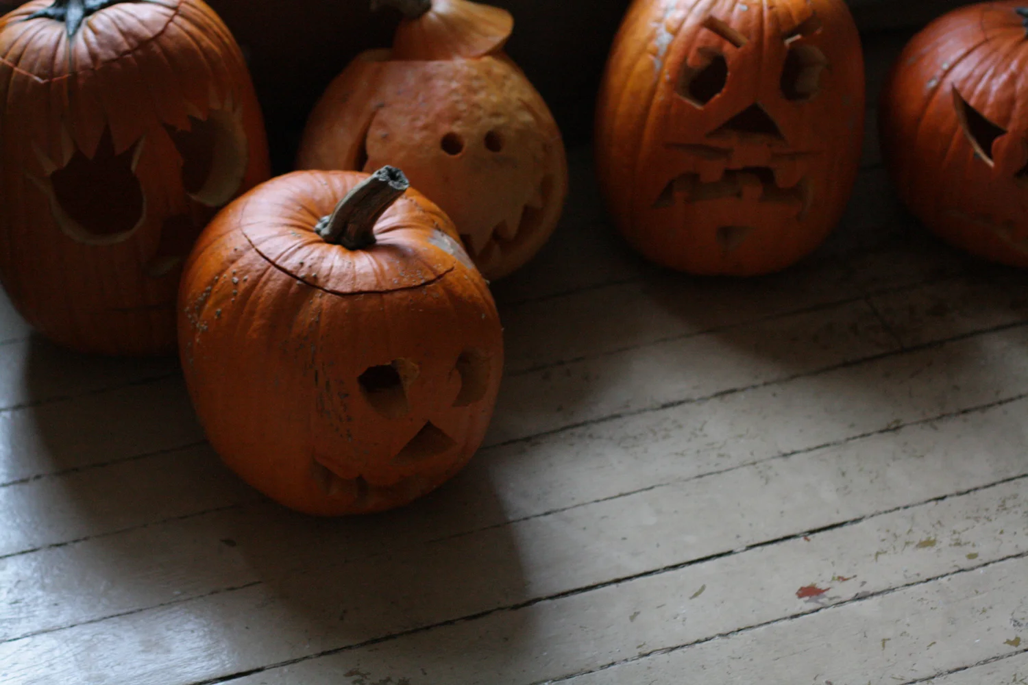 B16_Oct10_Carved_Pumpkins.jpg
