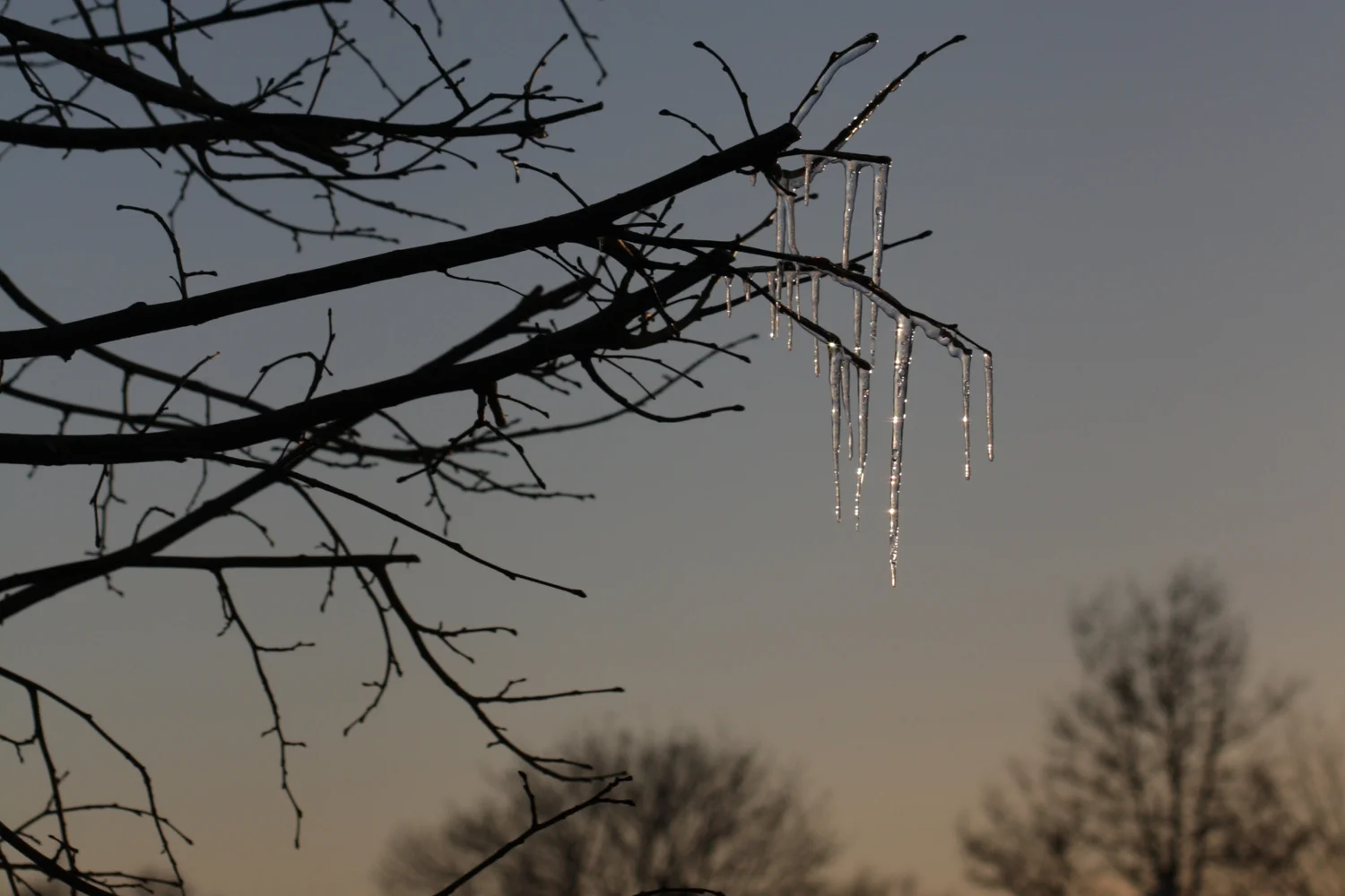 B16_Apr05_Sunset_Icicle.jpg