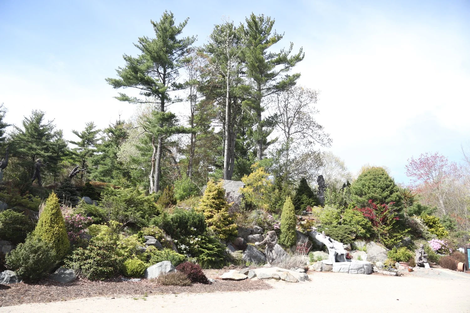 Cosby's Garden Centre