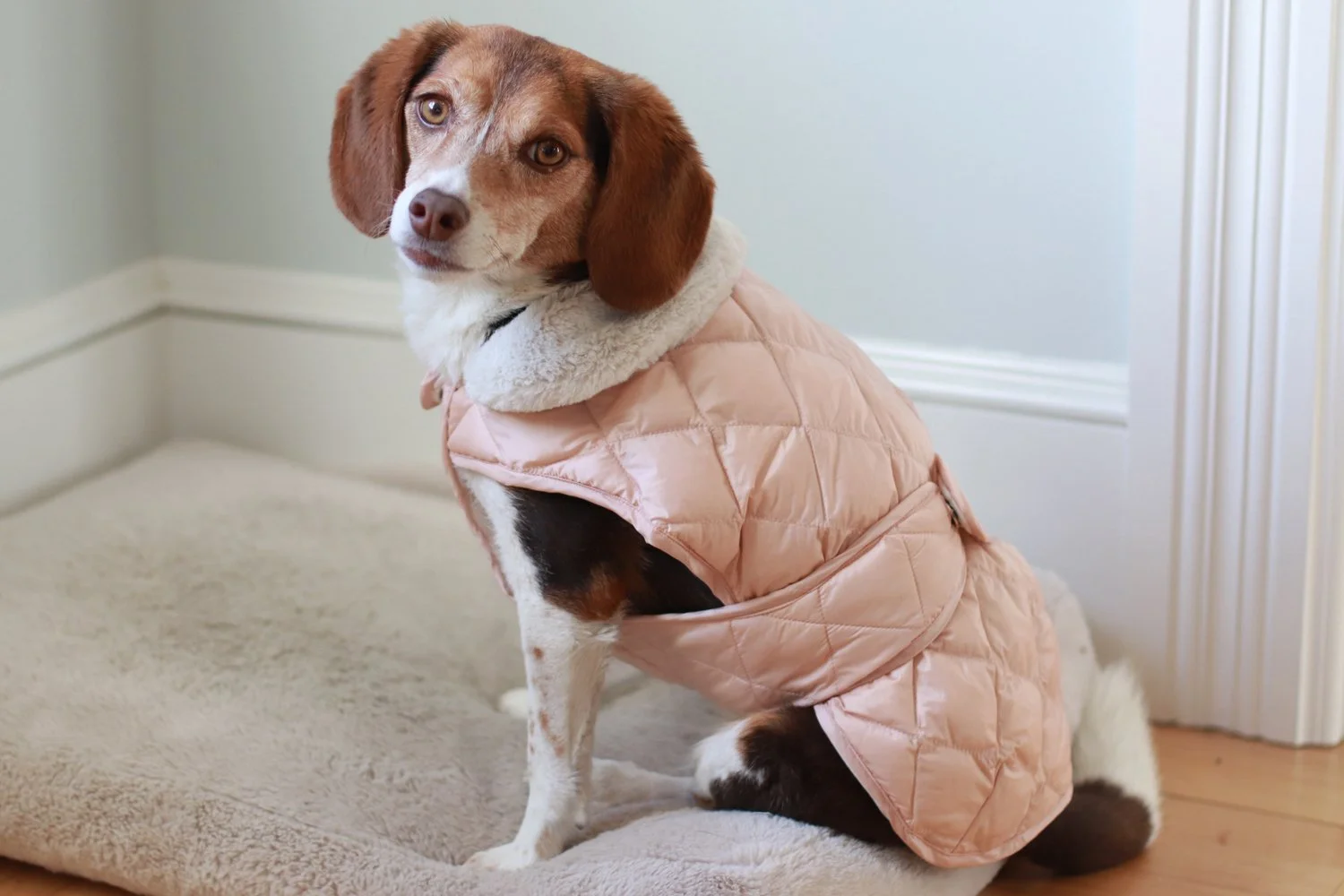 Pretty Pink Confection