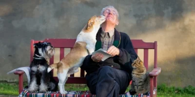 stock-photo-senior-man-400.jpg
