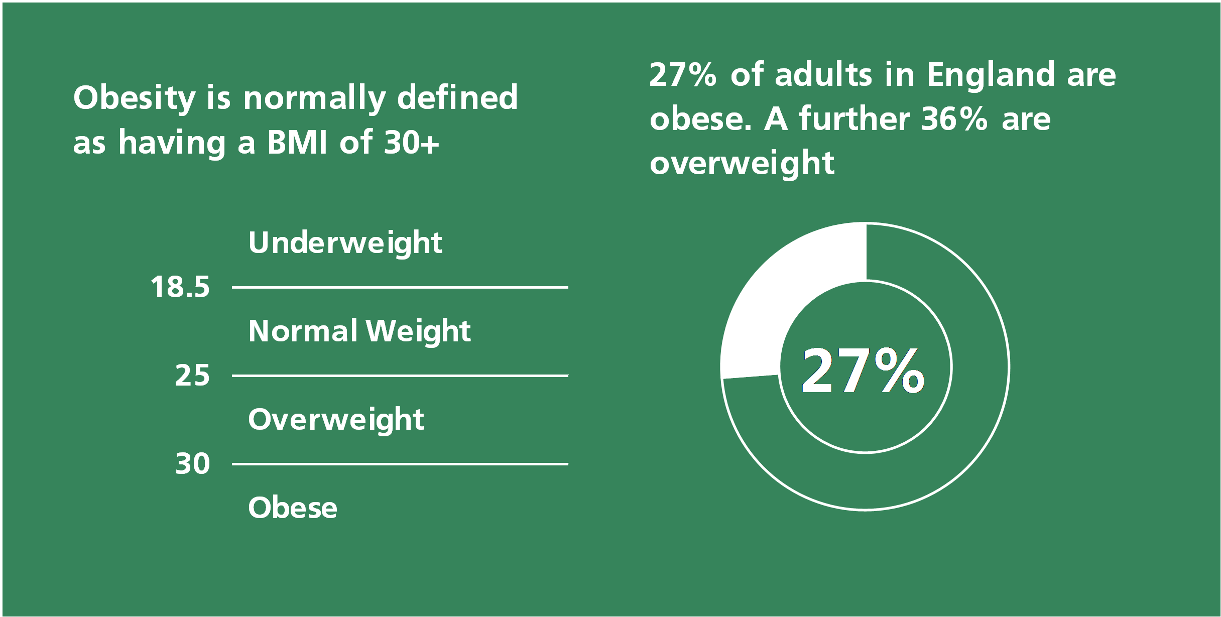Obesity Statistics