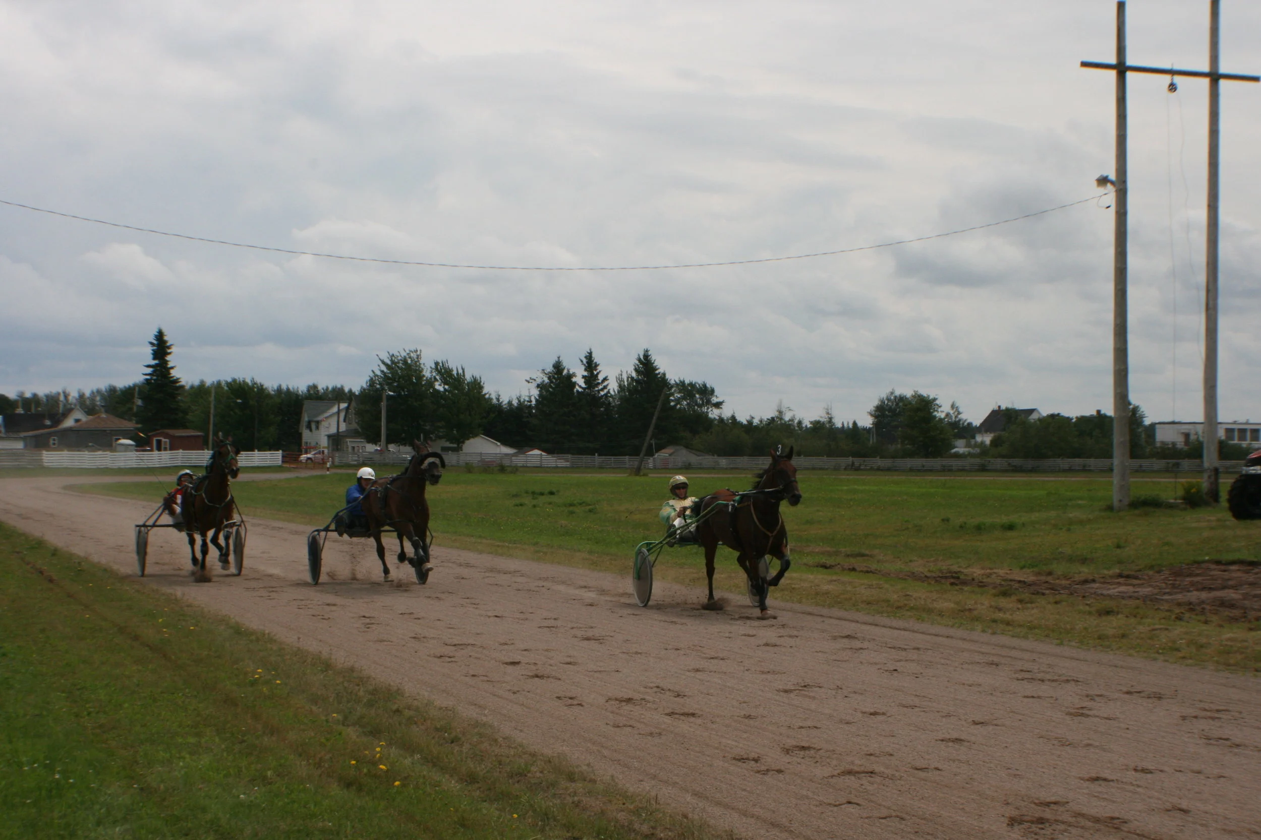 Three entrants race into the home stretch during a matinee card of exhibition harness racing at the Port Elgin Exhibition on Aug. 20. (Joan LeBlanc photo)