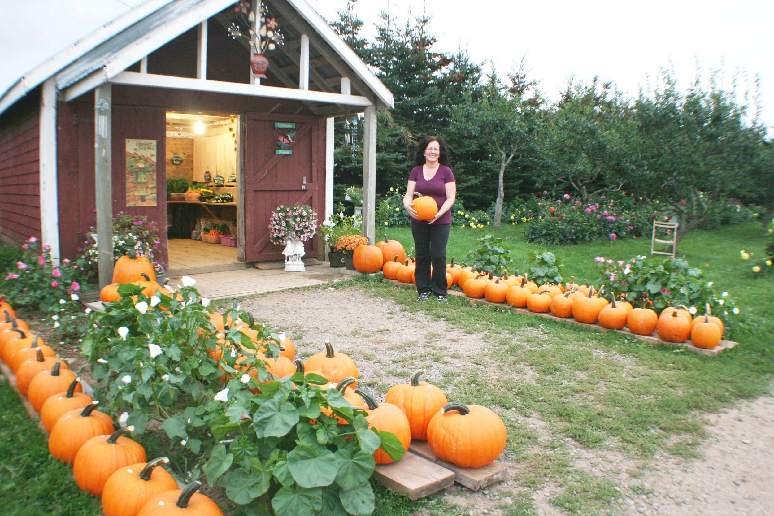 Mother Nature’s fickleness challenged N.B. produce growers — Farm Focus