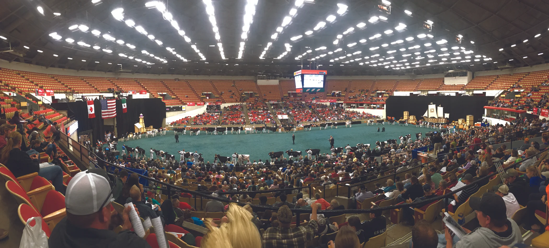 Seeing so many of the world’s finest dairy cattle together in one place made a big impression on the 4-Hers. (Submitted photo)