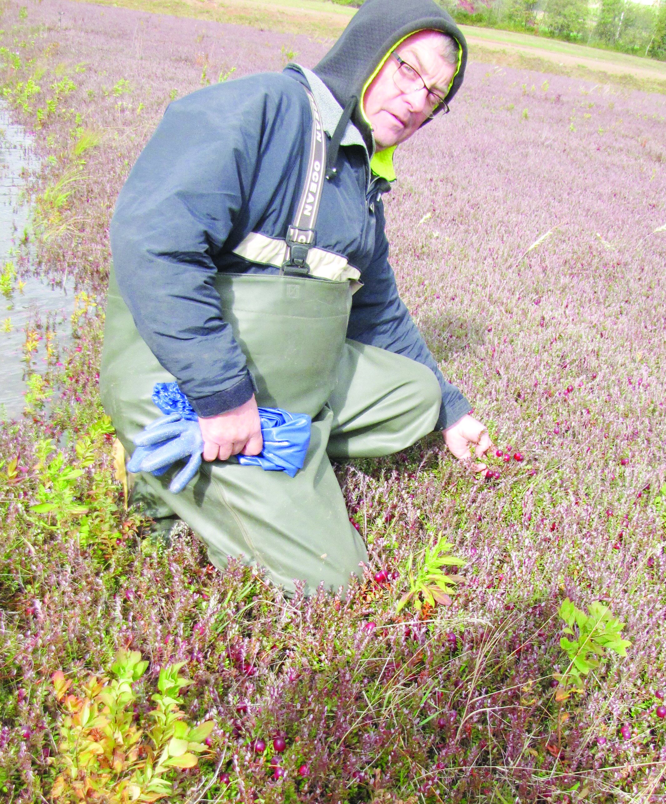 FF Nov. 20 Cranberry Farm Profile Pic 2.JPG