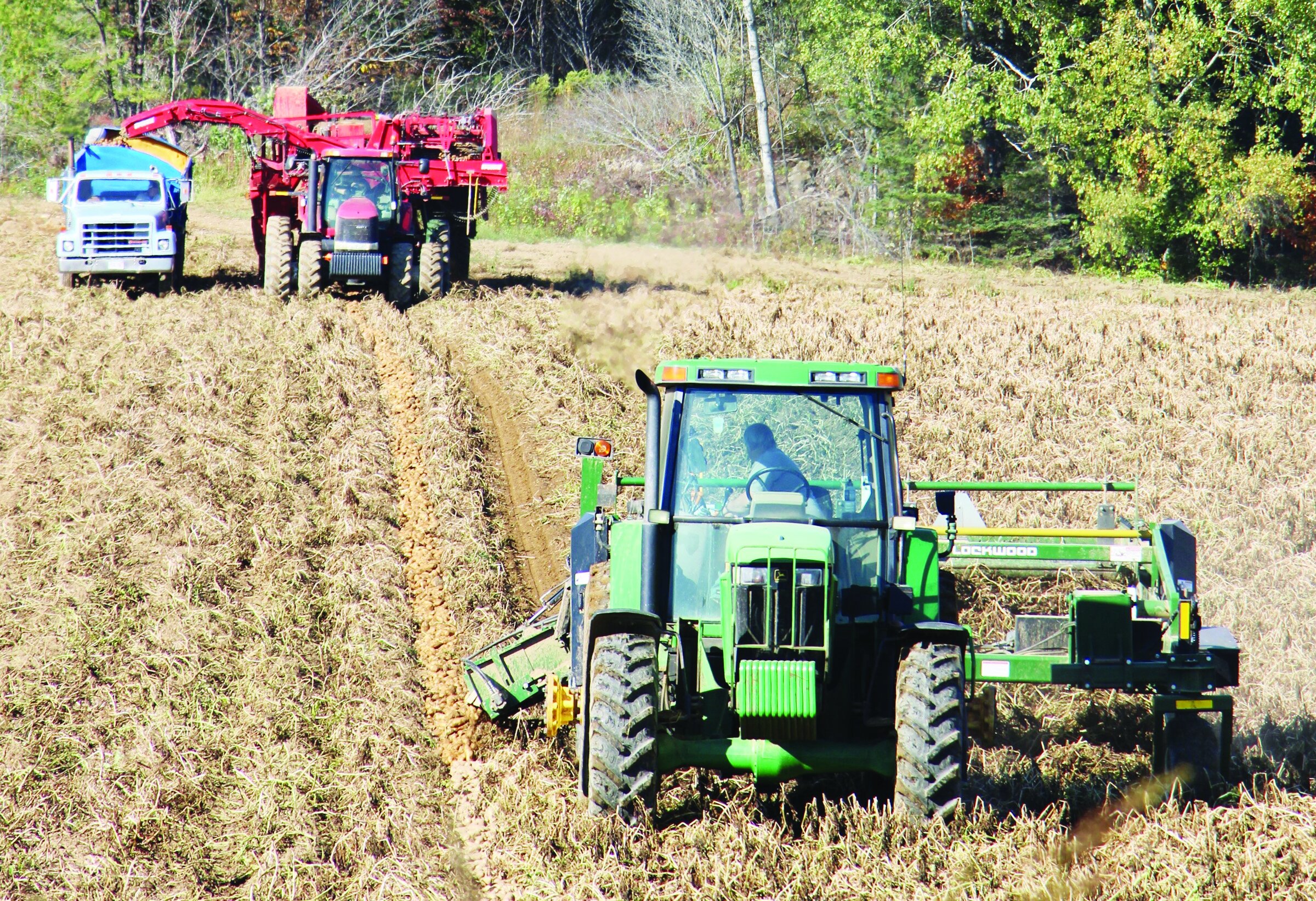 FF Nov. 20 Potato Farm Profile Pic 1.JPG