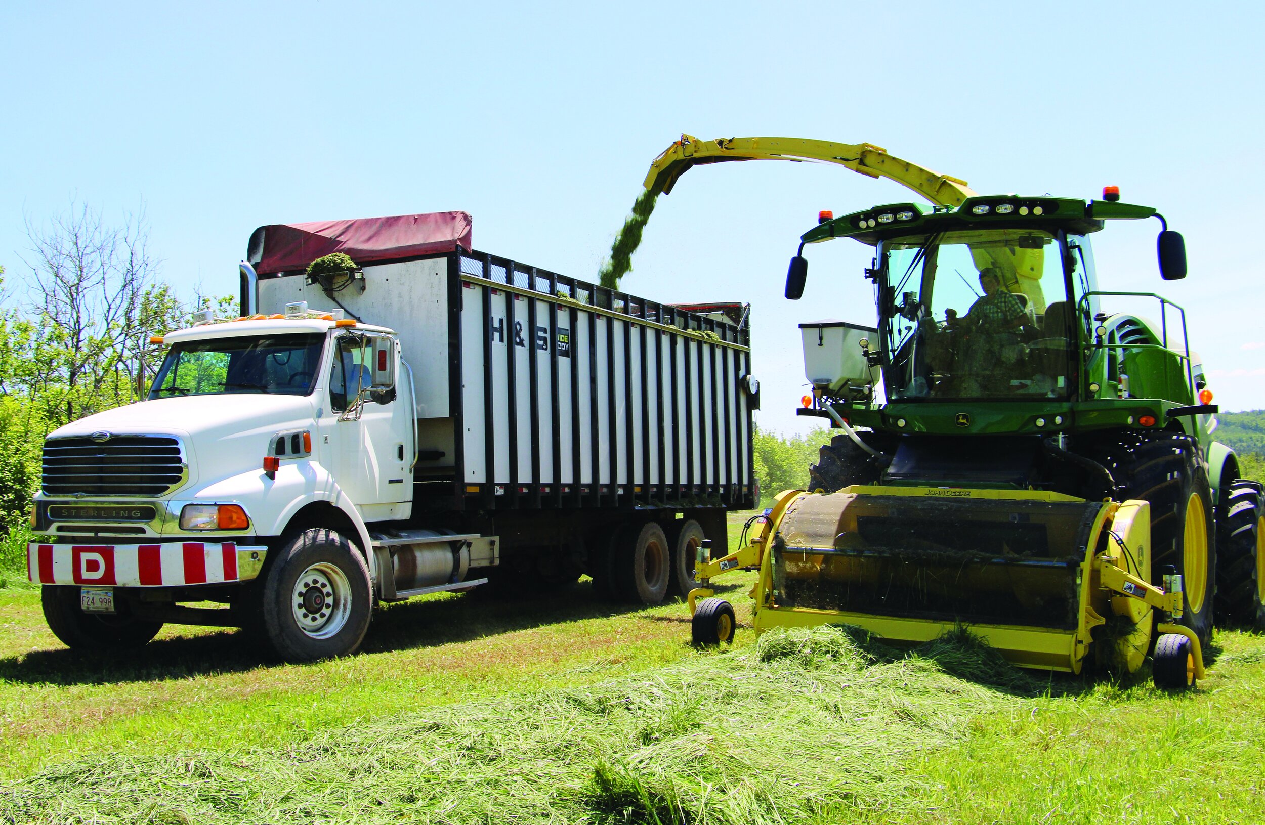 FF July 22 Forage Maker Profile Pic 2.JPG