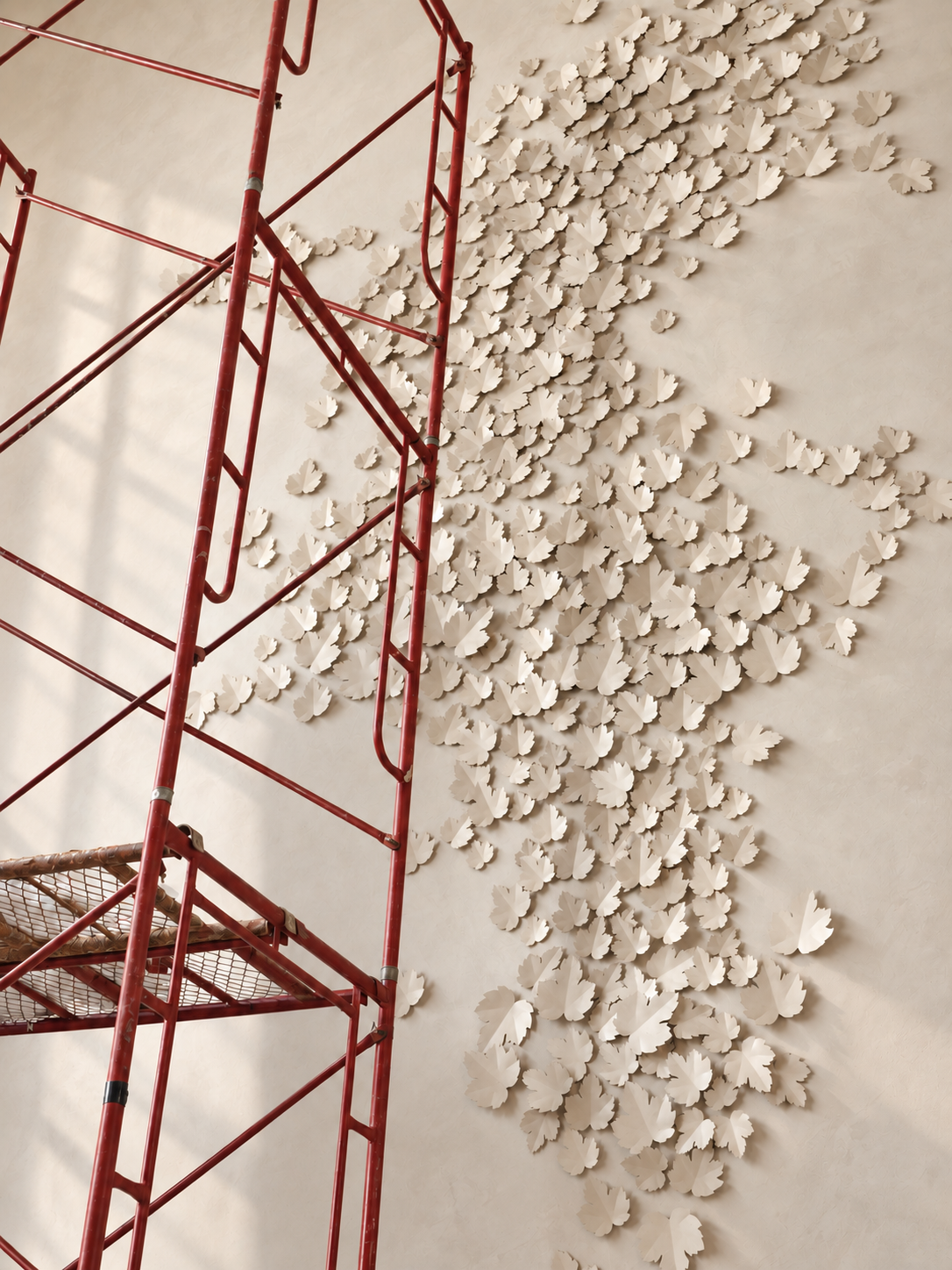 Wall Relief