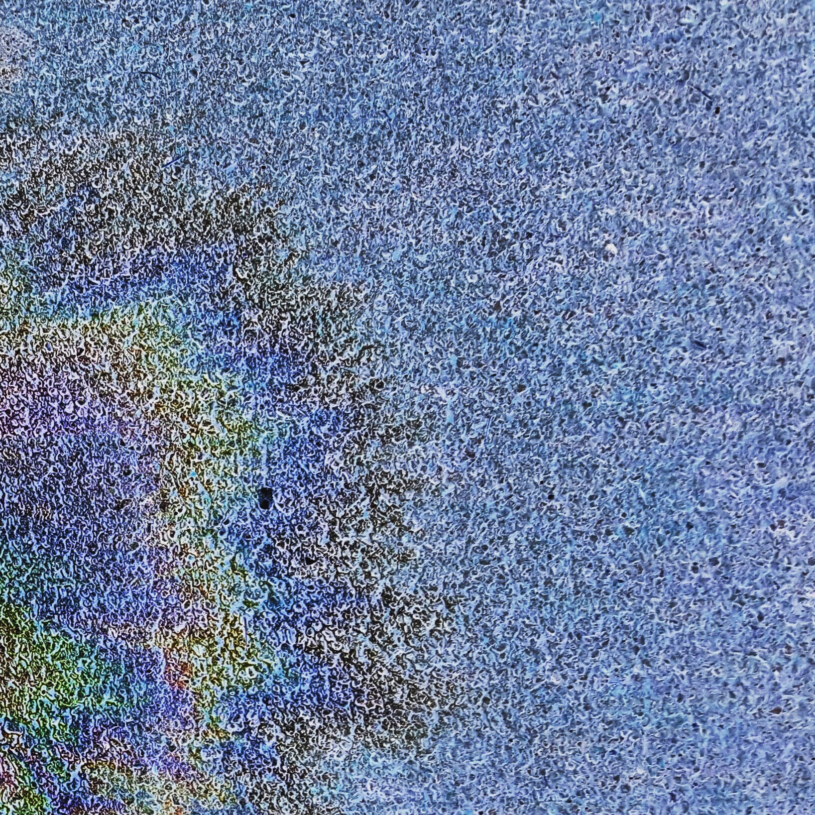 Fuzz