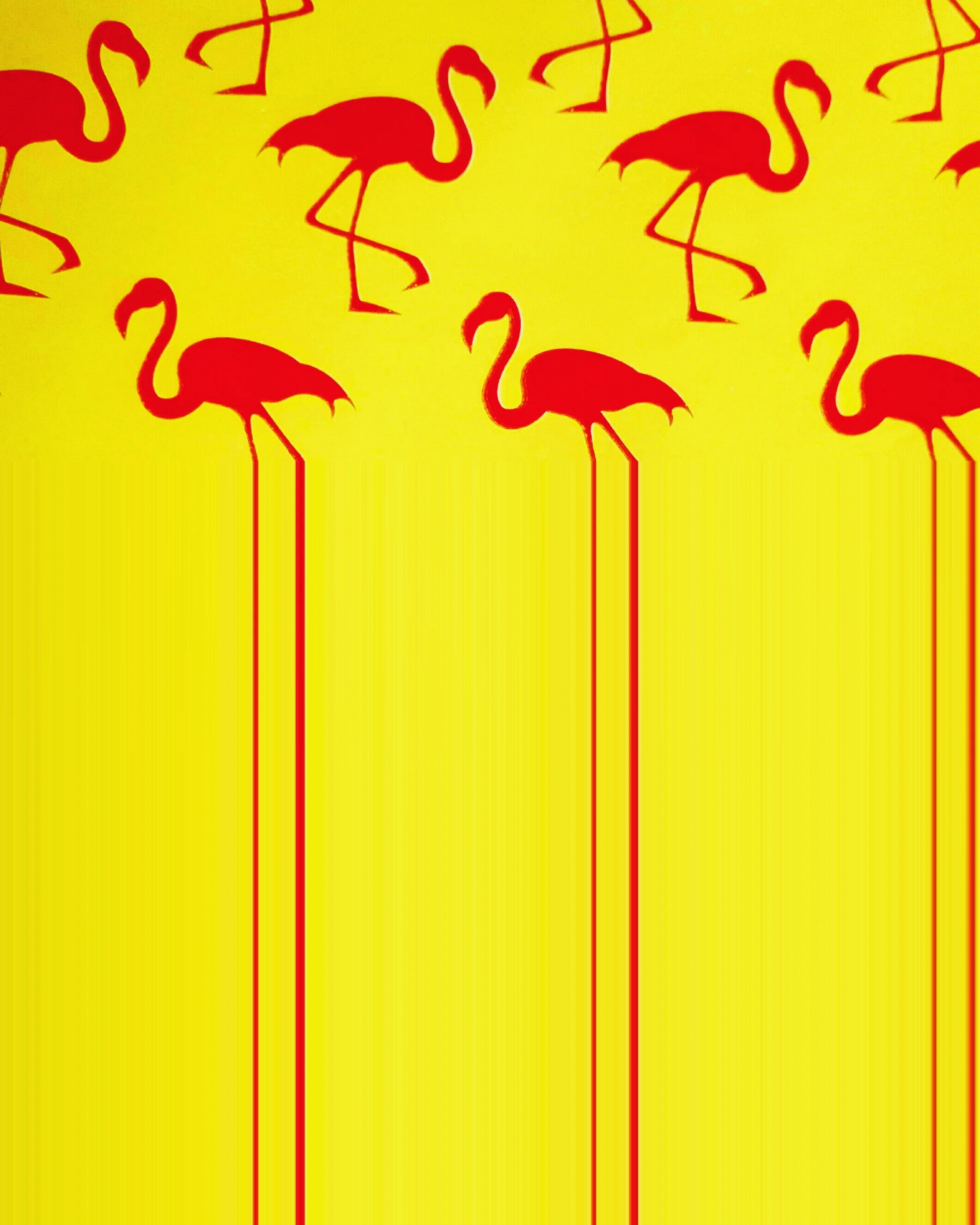 Flamingo.jpg