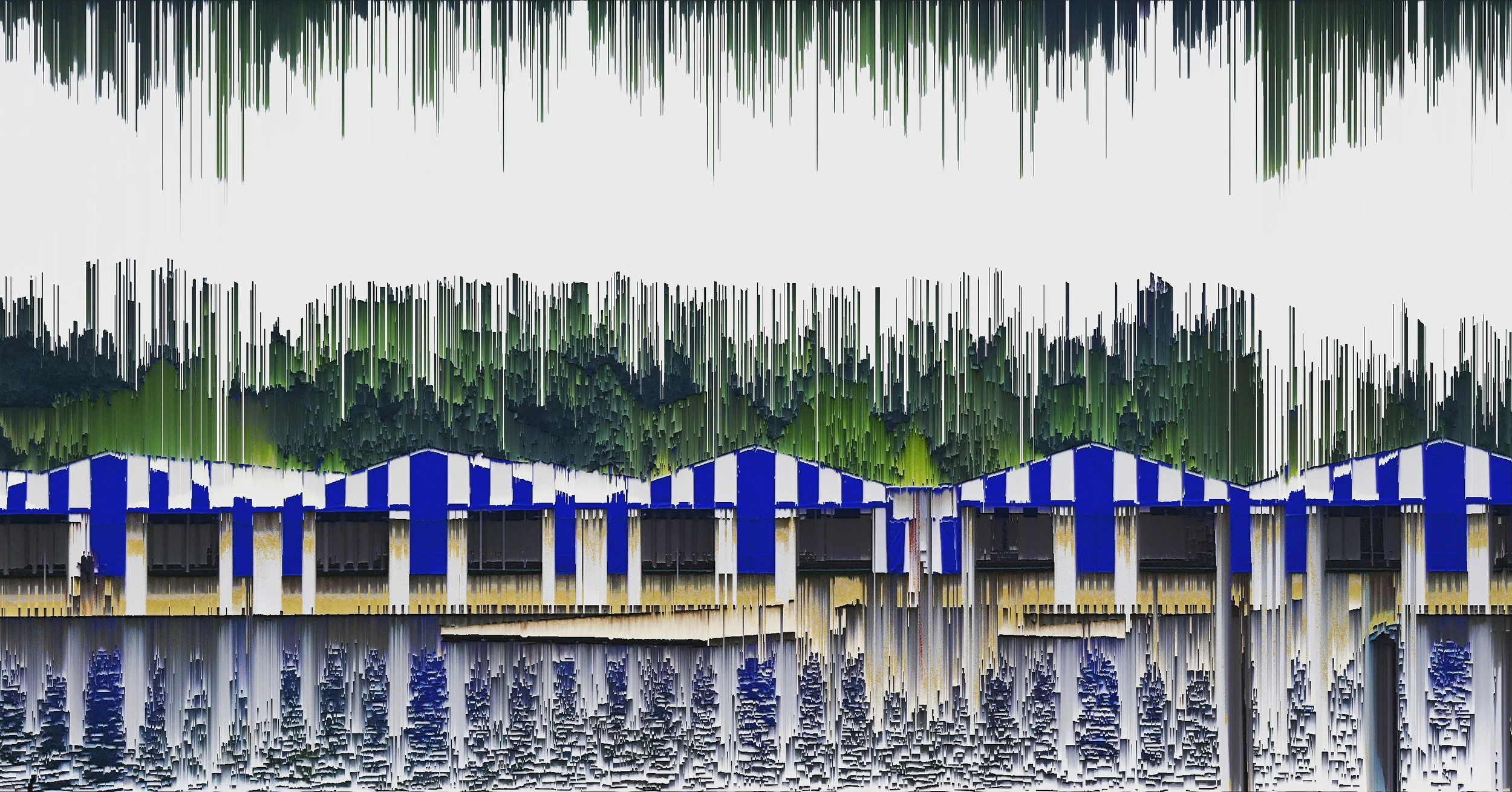 Regatta one.jpg