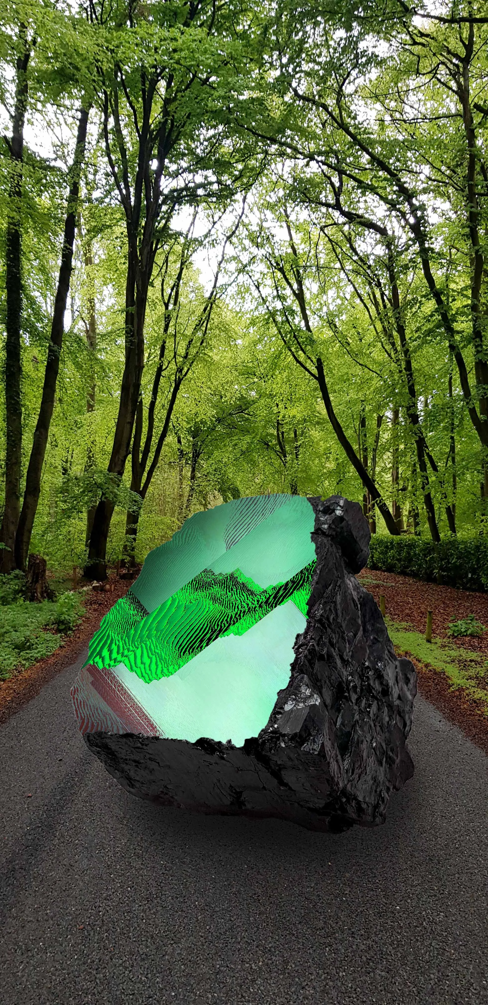 tree.jpg