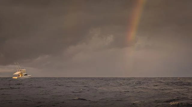 Thalassotherapy – using seawater for medical purposes. ⠀
It’s nothing new, but more and more studies are being published about the incredible benefits of ocean swimming. Helping with everything from boosting your immune system to improvin