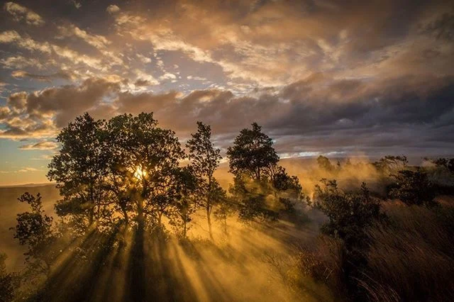 A big 'Thanks' to everybody who came to see #againstthetidesfilm earlier this week (and last Saturday) at @scillyswim and @obanphoenixcinema. Our autumn screenings are continuing next week in Chester, Sunderland and Aviemore (Scotland). Thank you to