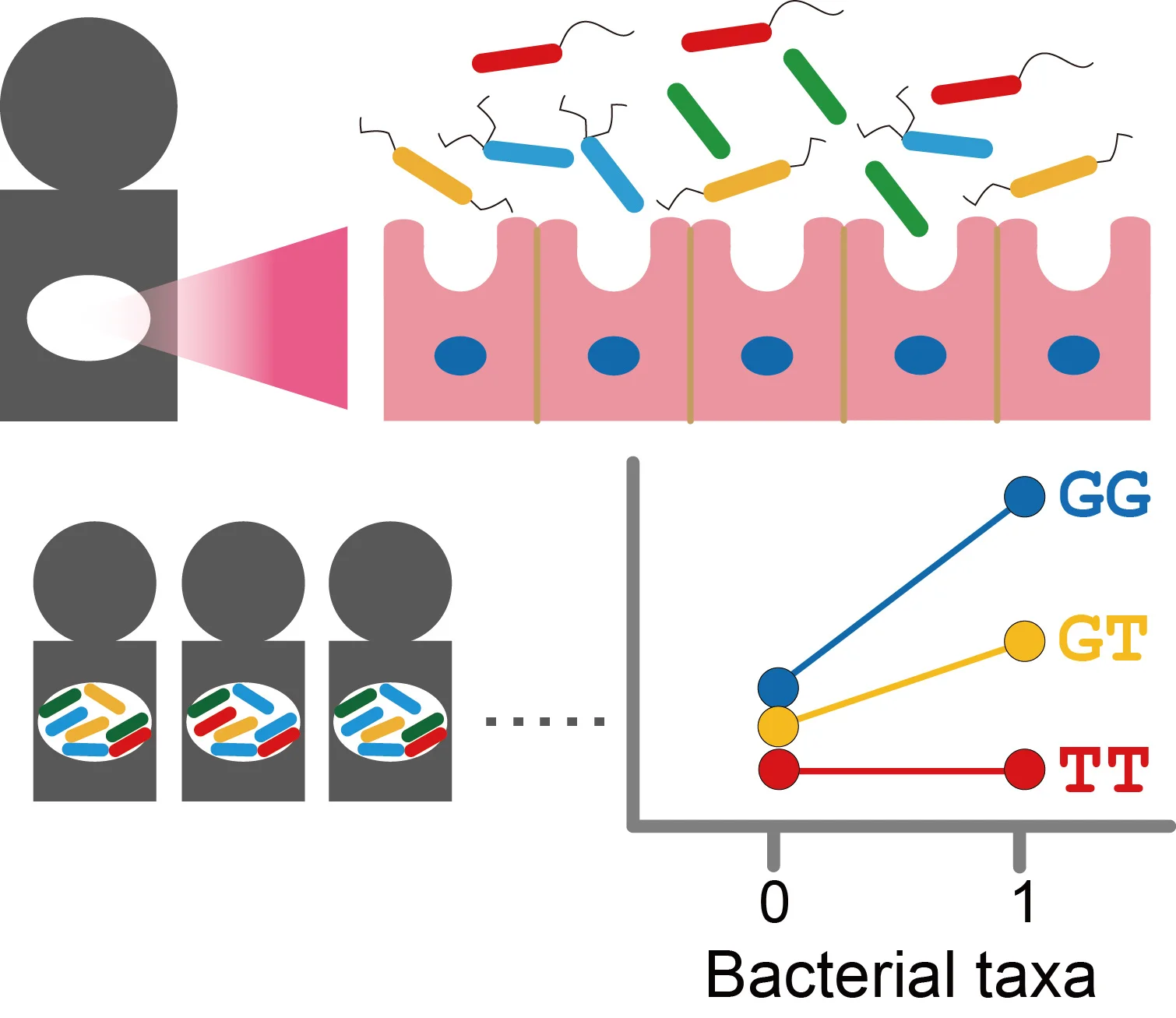 Host_microbiome.jpg