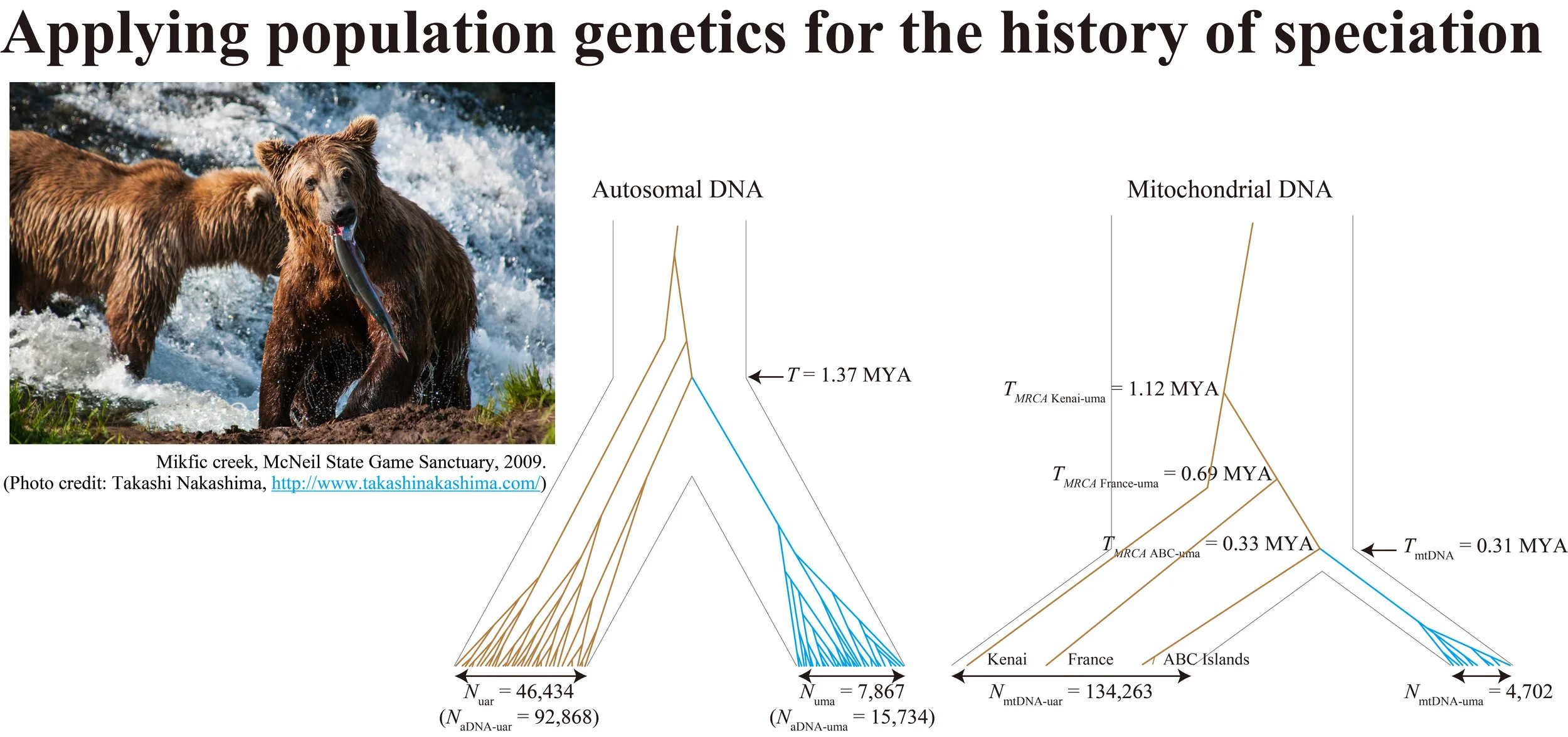 Nakagome et al . (2013) Science Nakagome et al . (2013) PLOS ONE