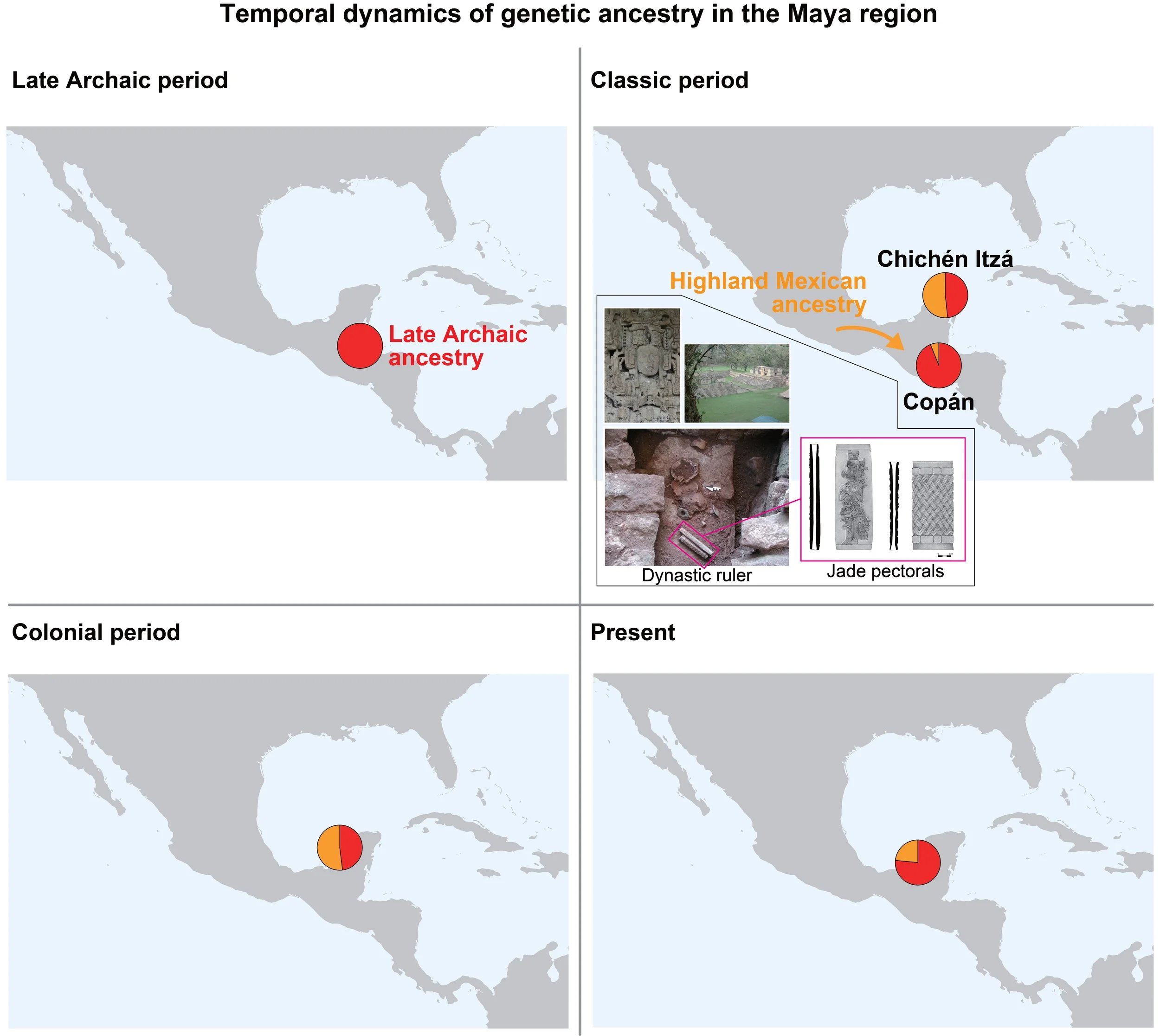 Ancient genomes reveal demographic trajectories during the Classic Maya period