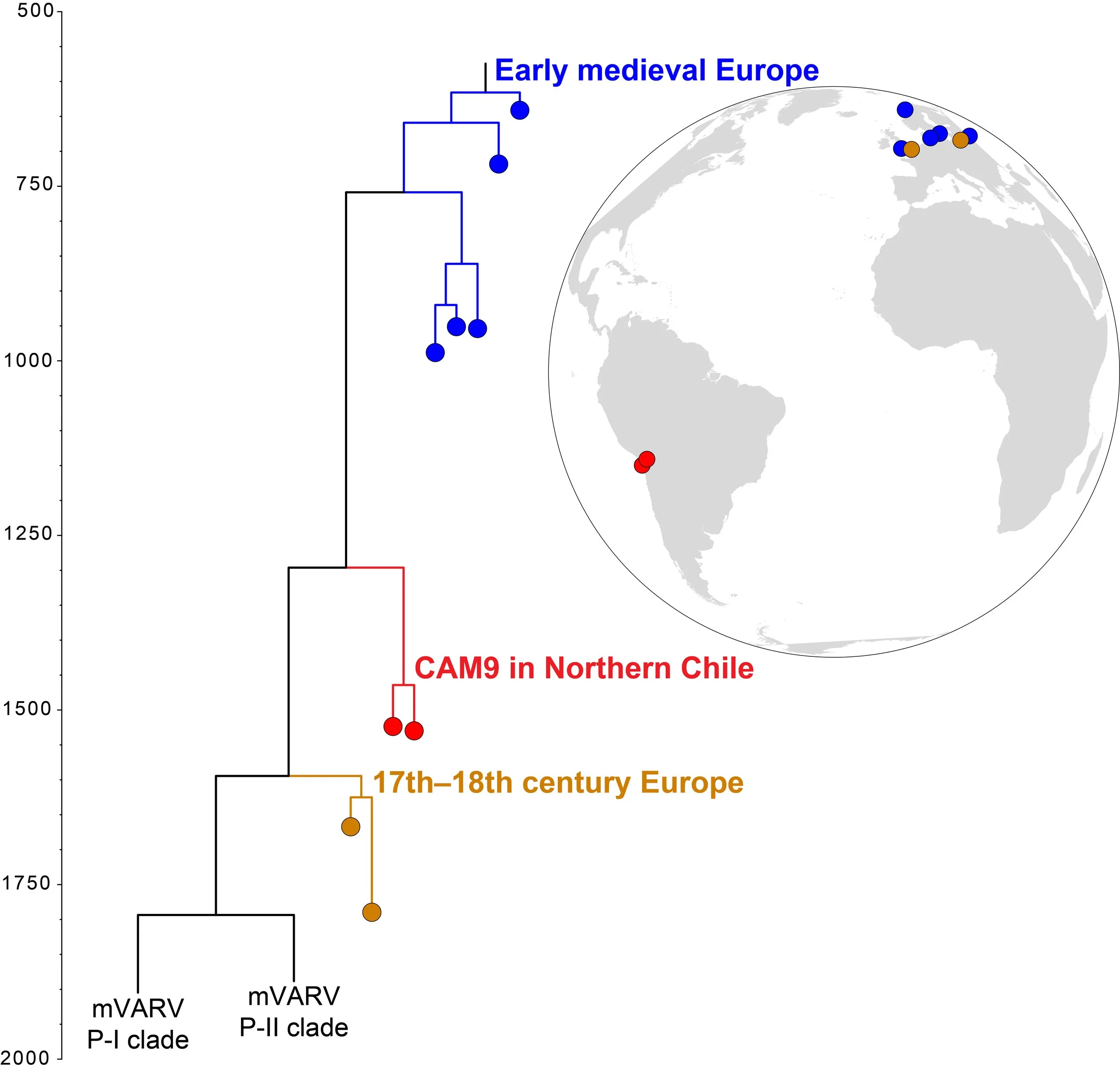 The genomic identity of early smallpox in South America