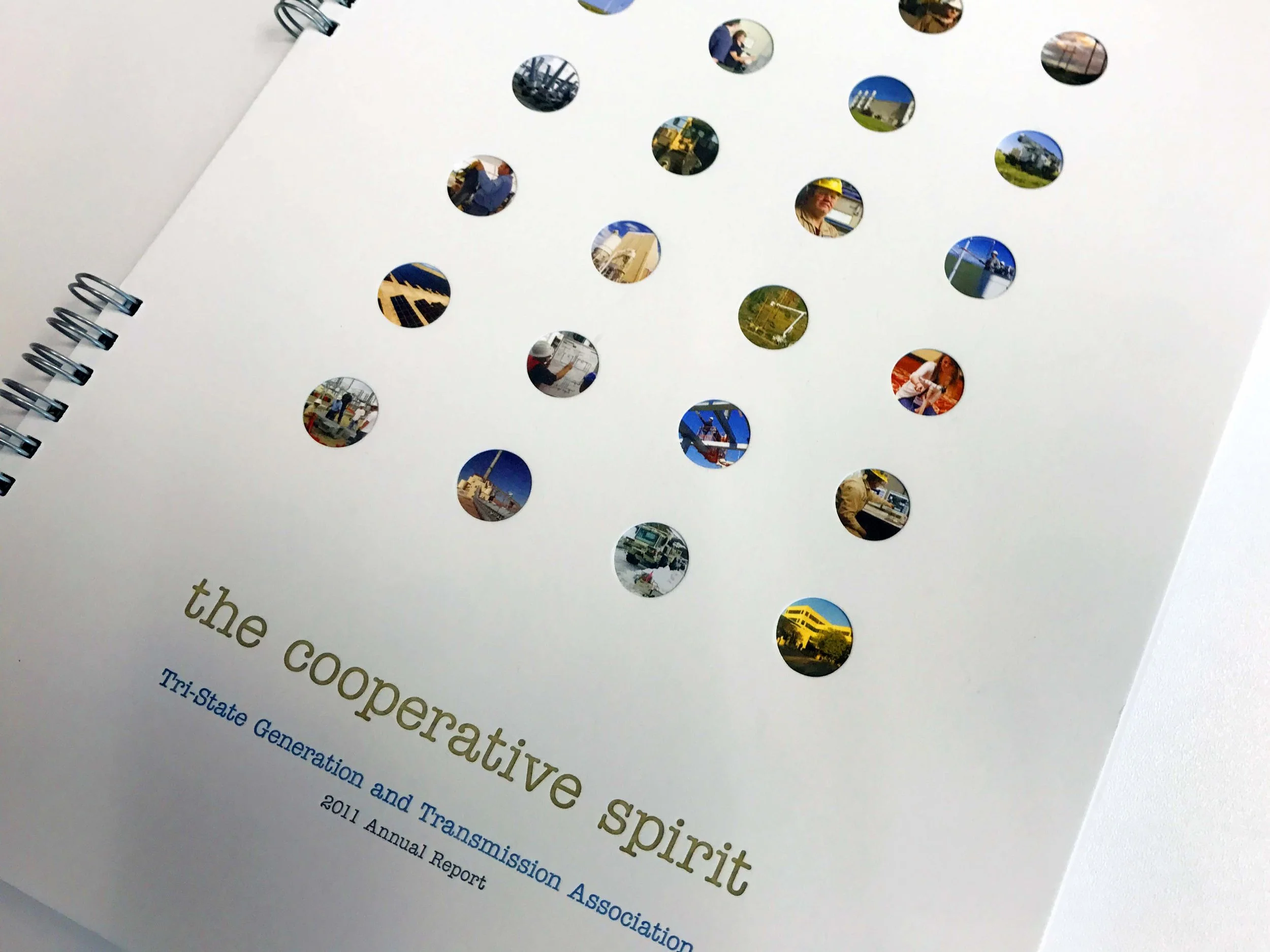  2011 Annual Report 