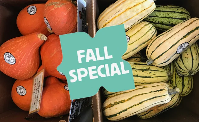 Fall Membership Special